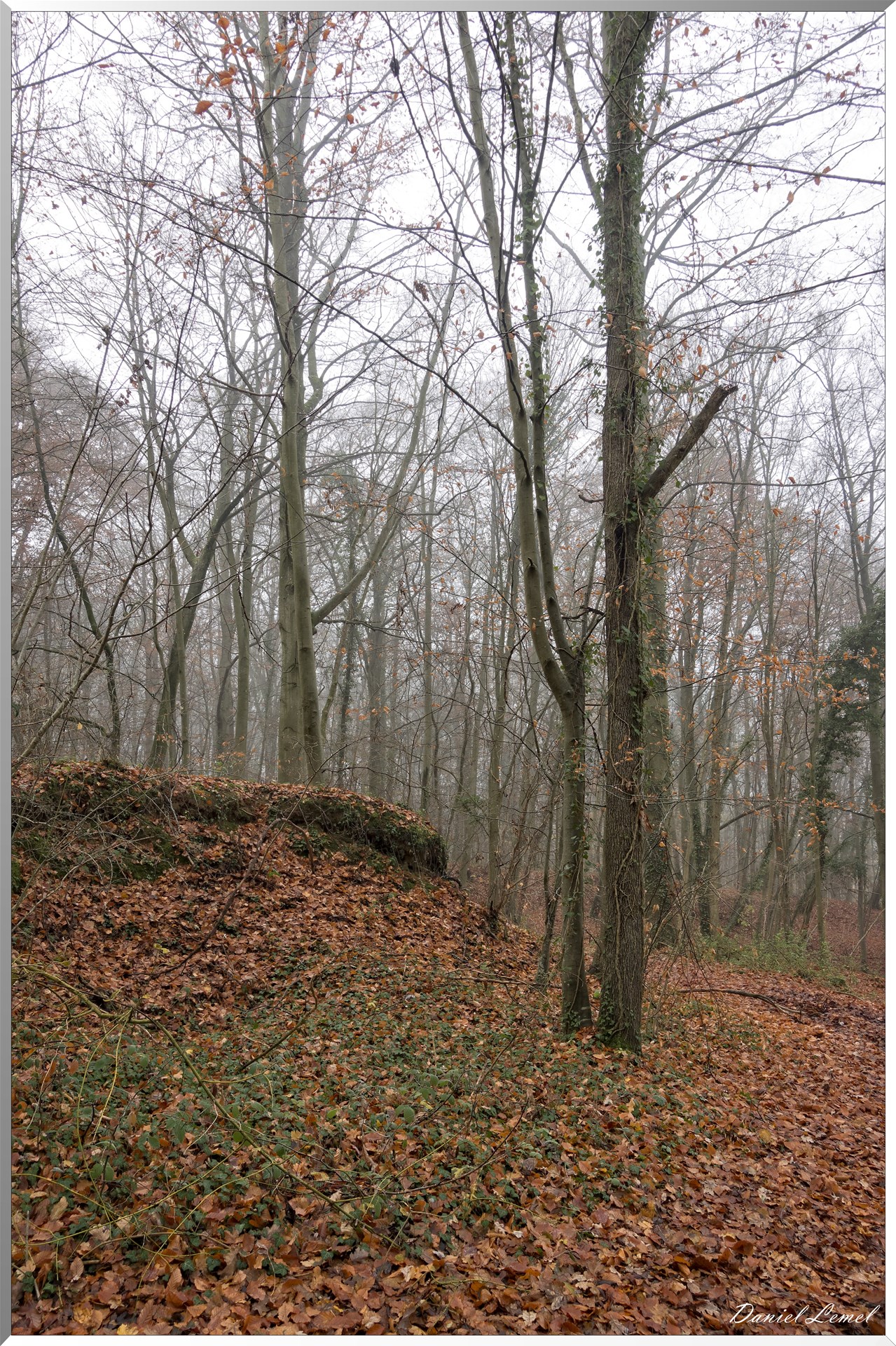 Saint-Aubin-sur-Gaillon