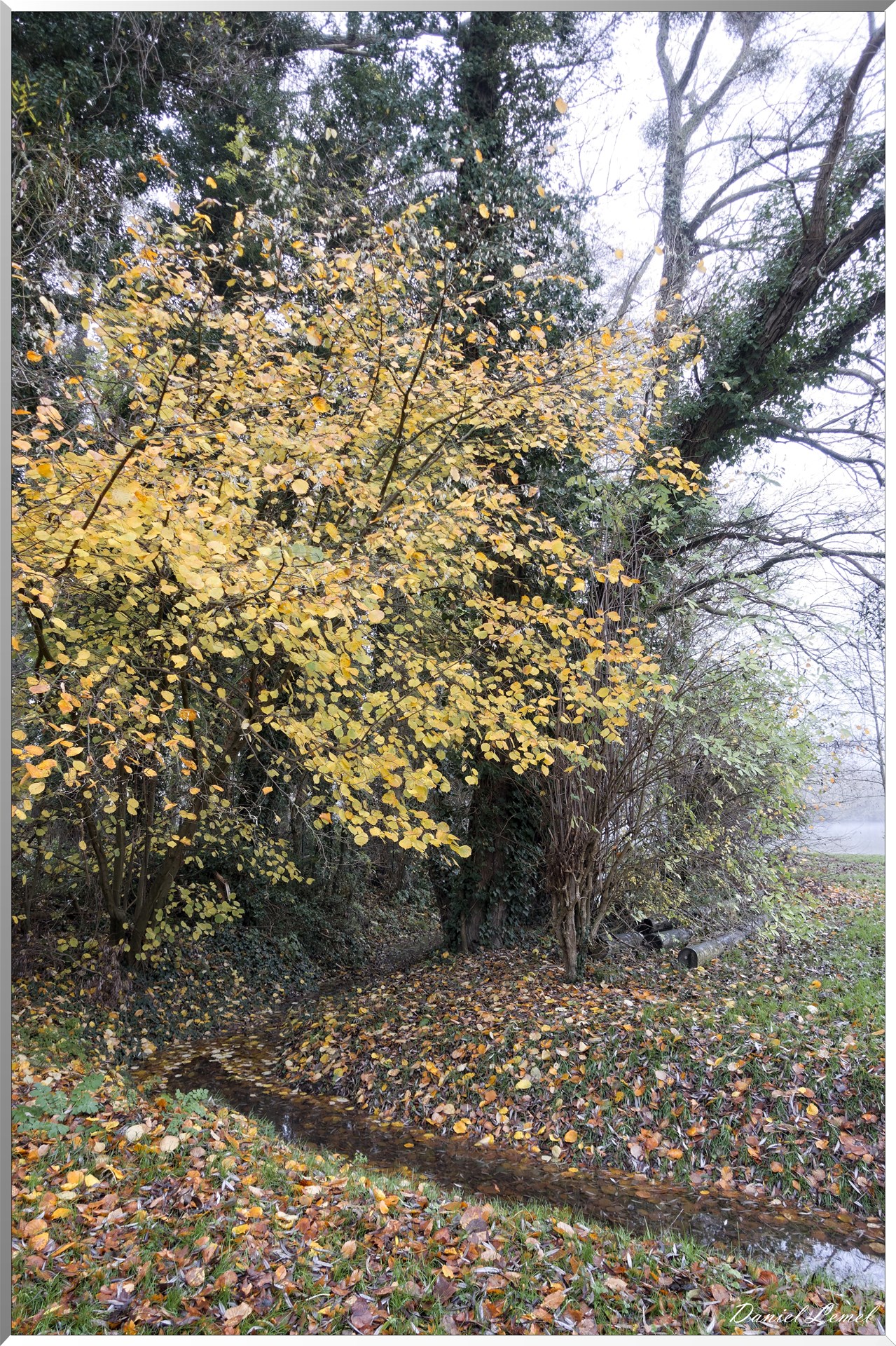 Pressagny l'Orgueilleux