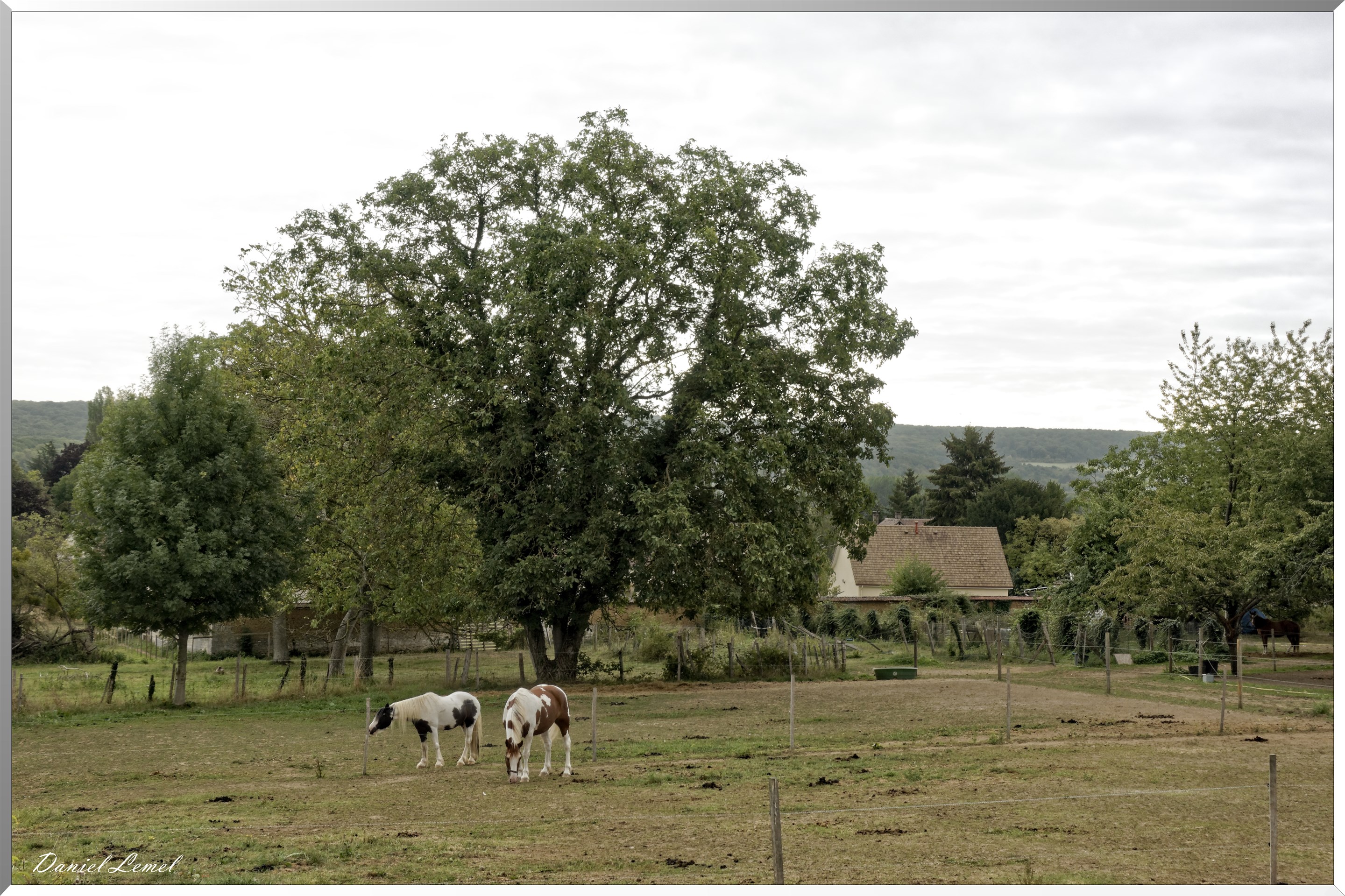 Saint-Pierre-d-Autils
