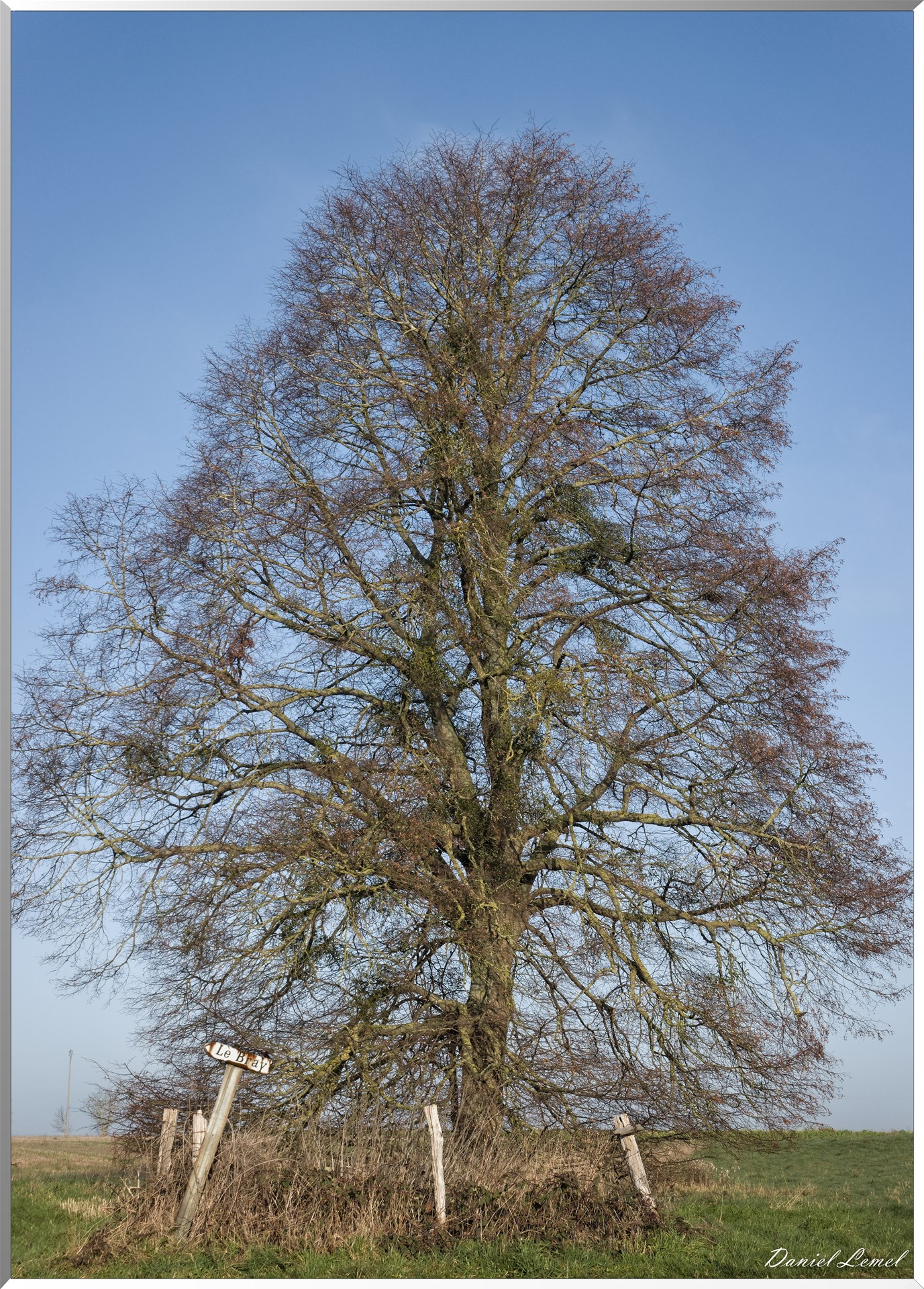 Saint-Pierre-de-Bailleul