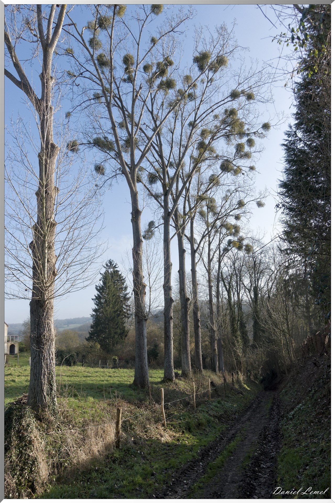 Saint-Pierre-de-Bailleul