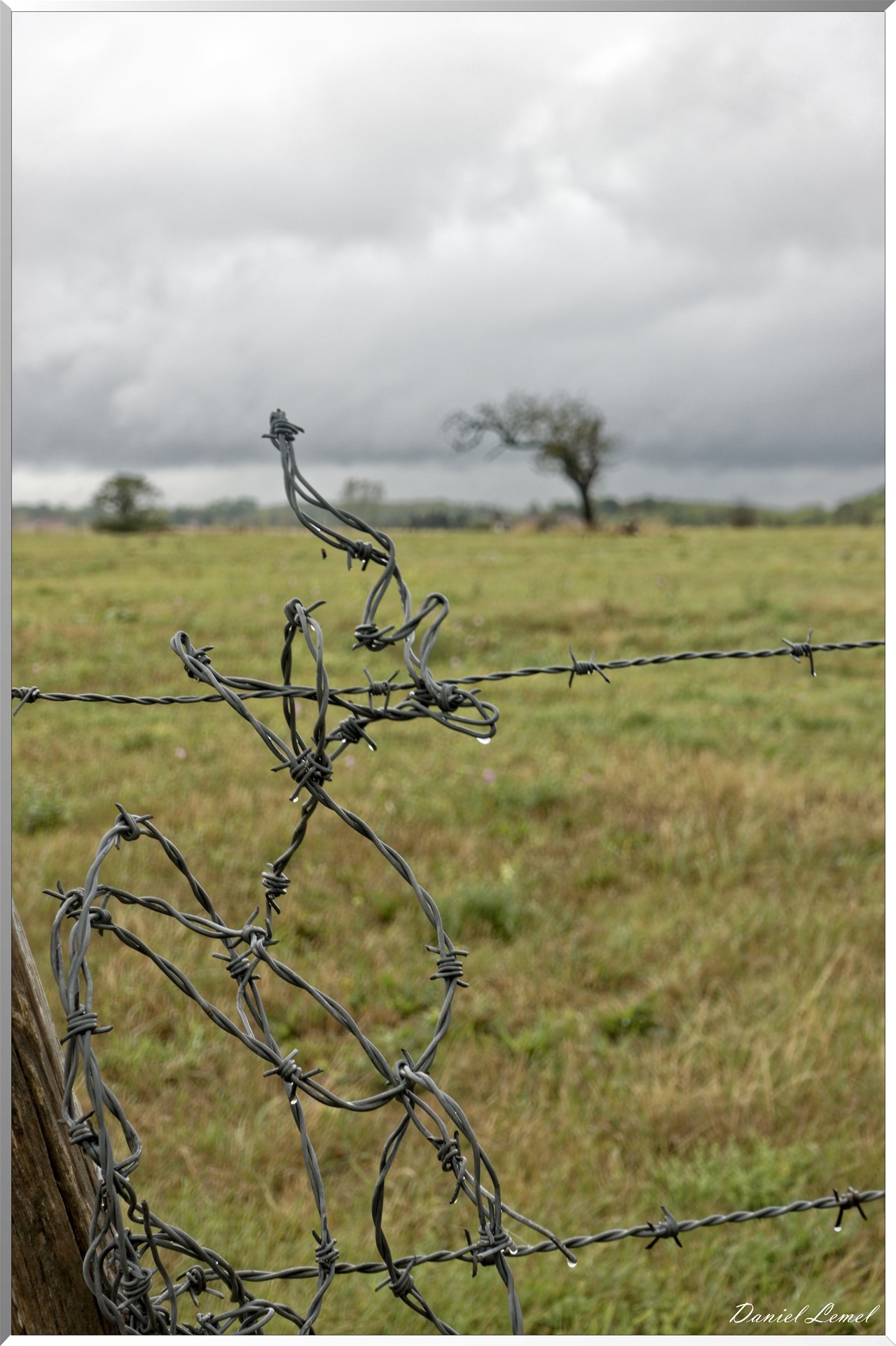 Notre-Dame-de-la-Mer