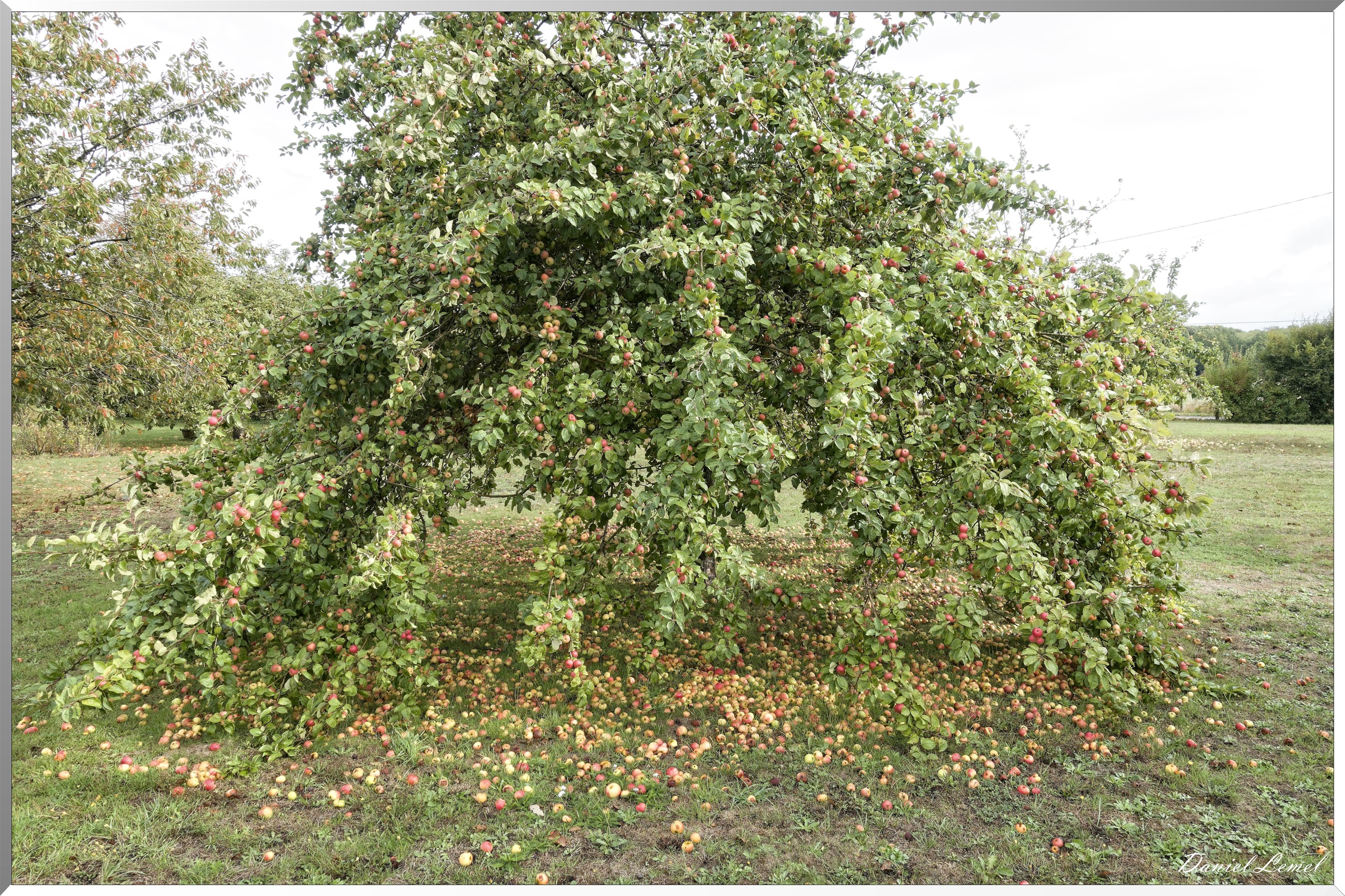 Notre-Dame-de-la-Mer