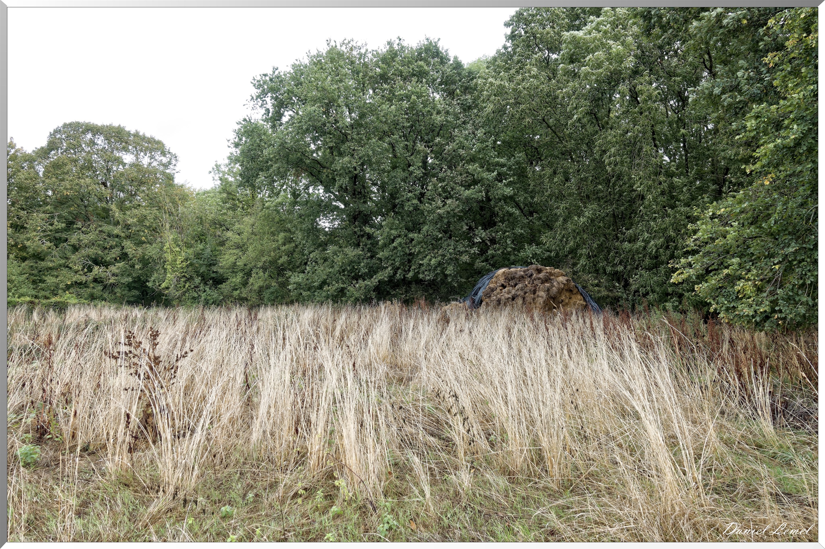 Notre-Dame-de-la-Mer