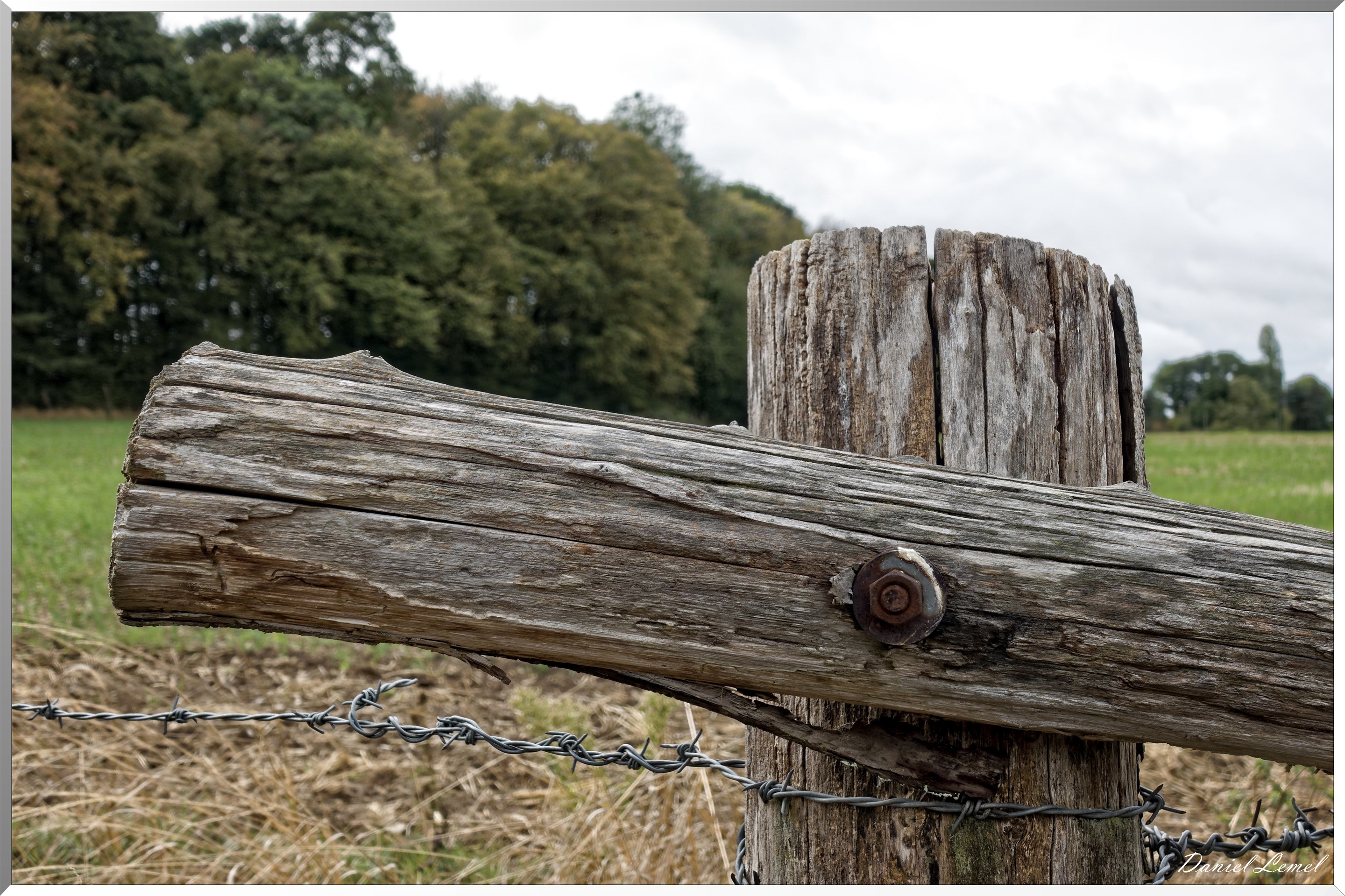 Notre-Dame-de-la-Mer