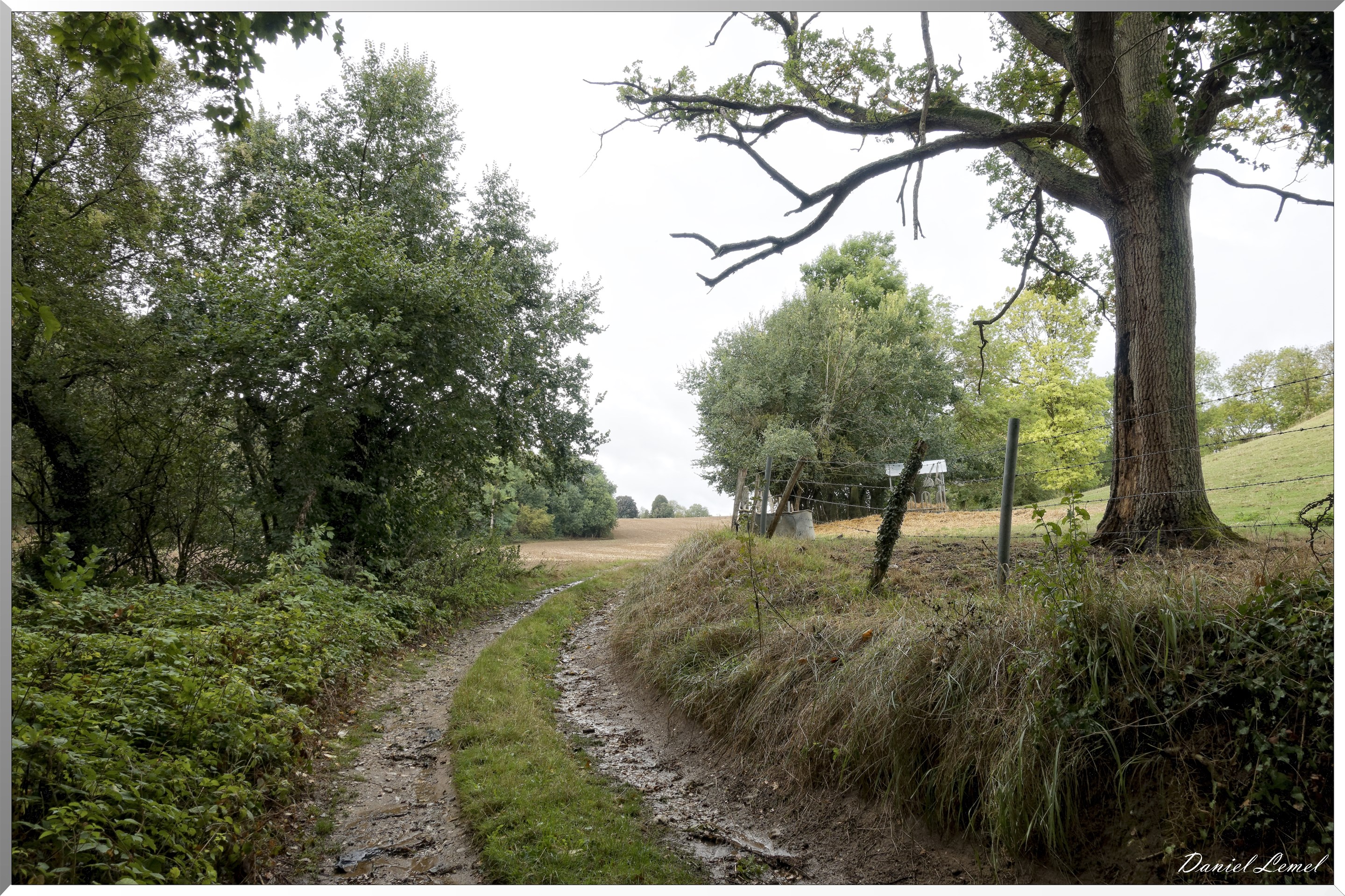 Notre-Dame-de-la-Mer