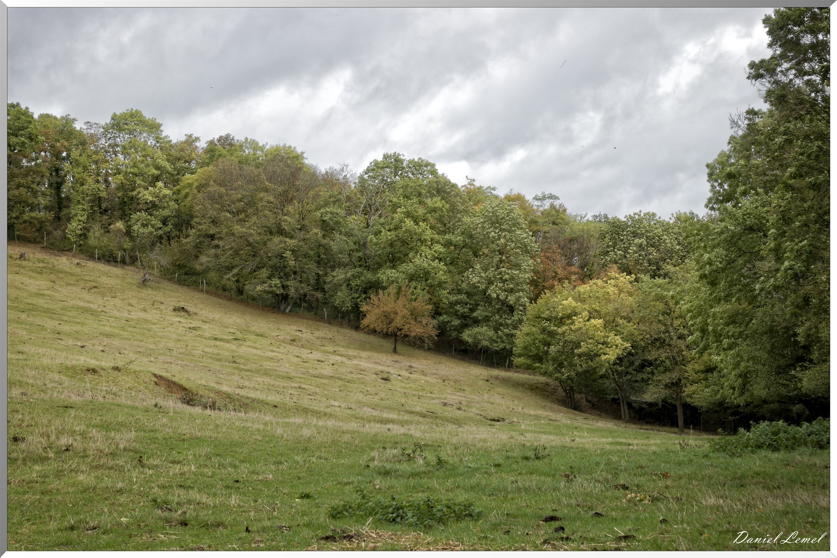 Notre-Dame-de-la-Mer