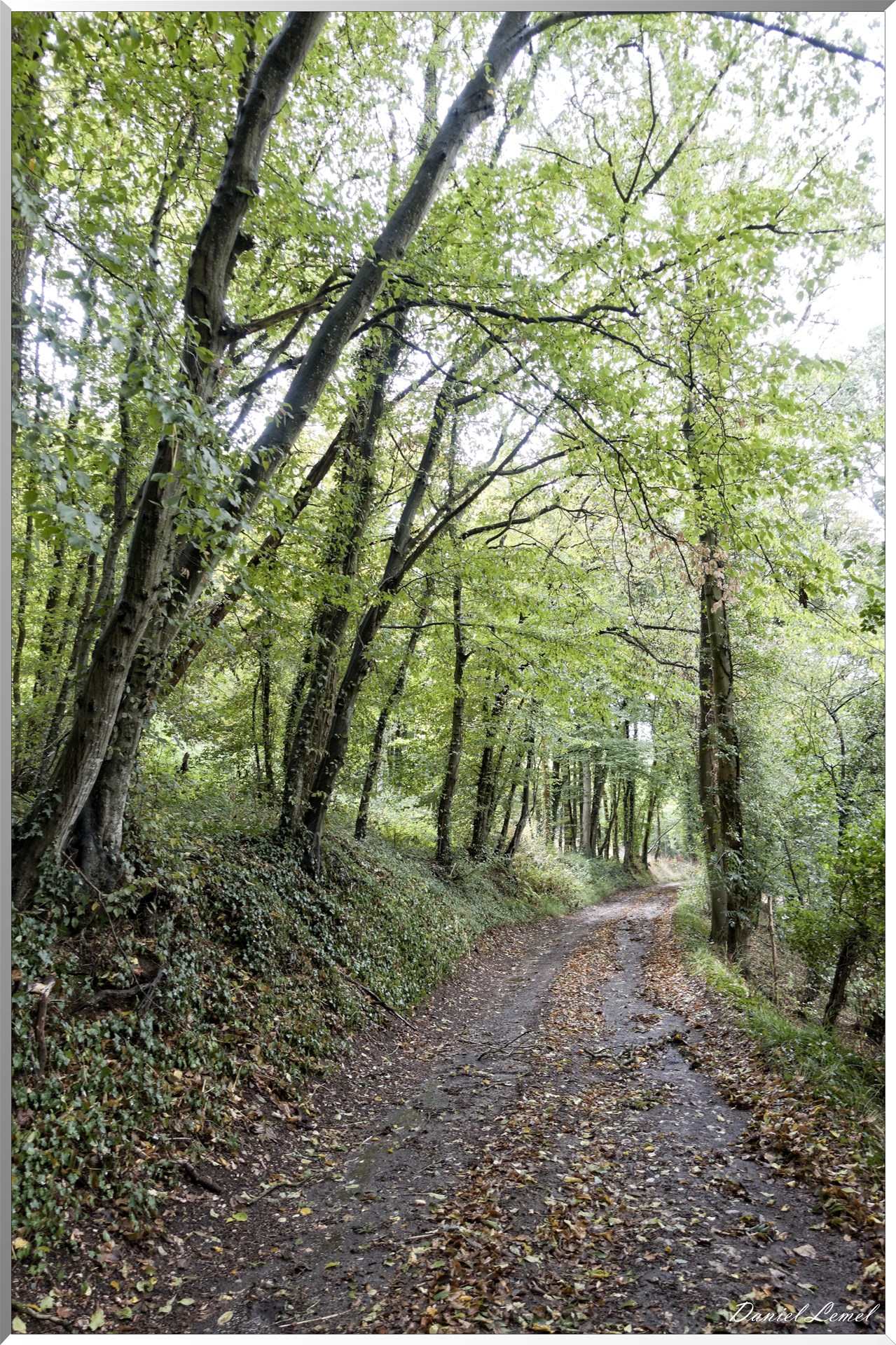 Notre-Dame-de-la-Mer