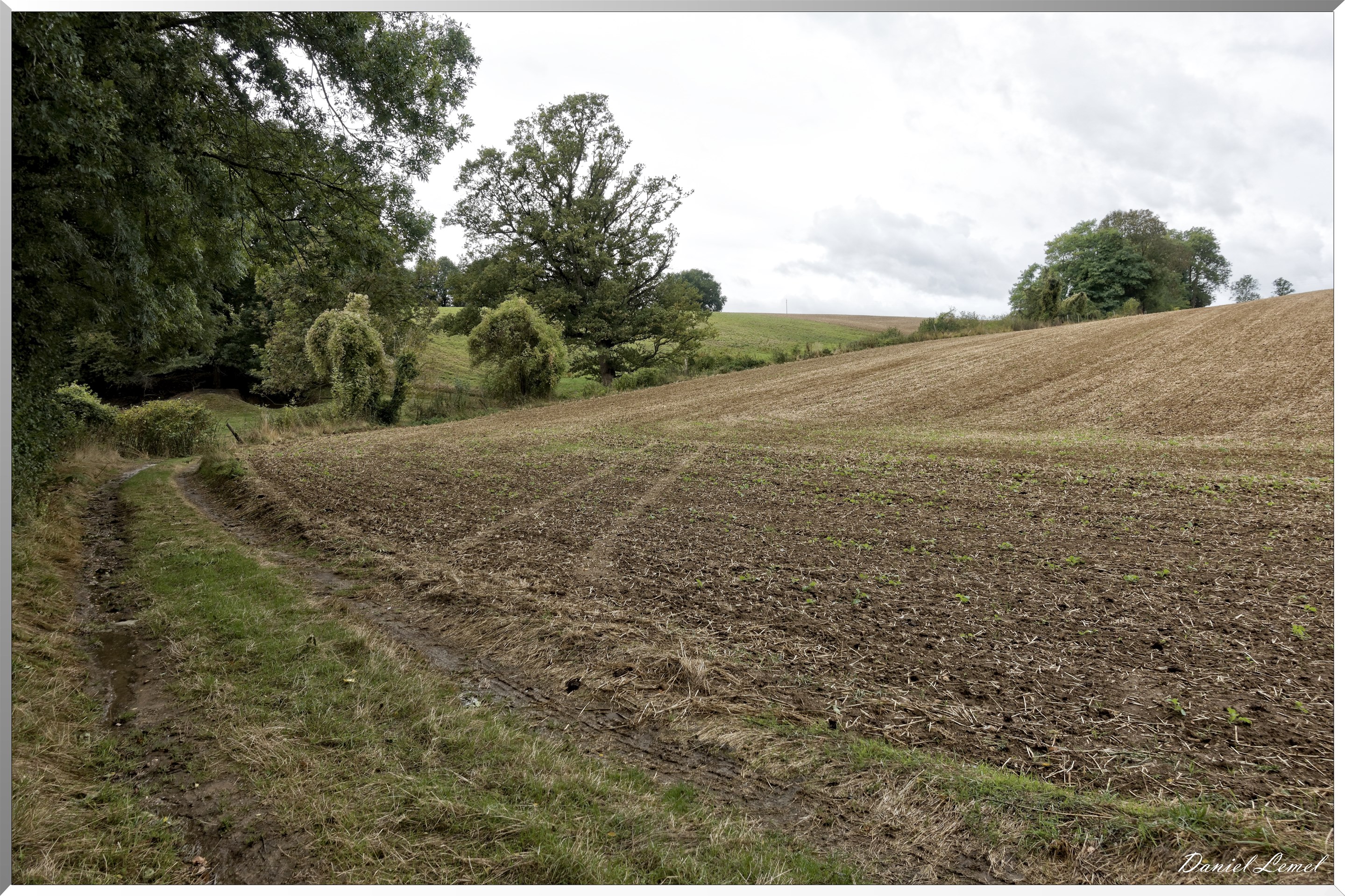 Notre-Dame-de-la-Mer