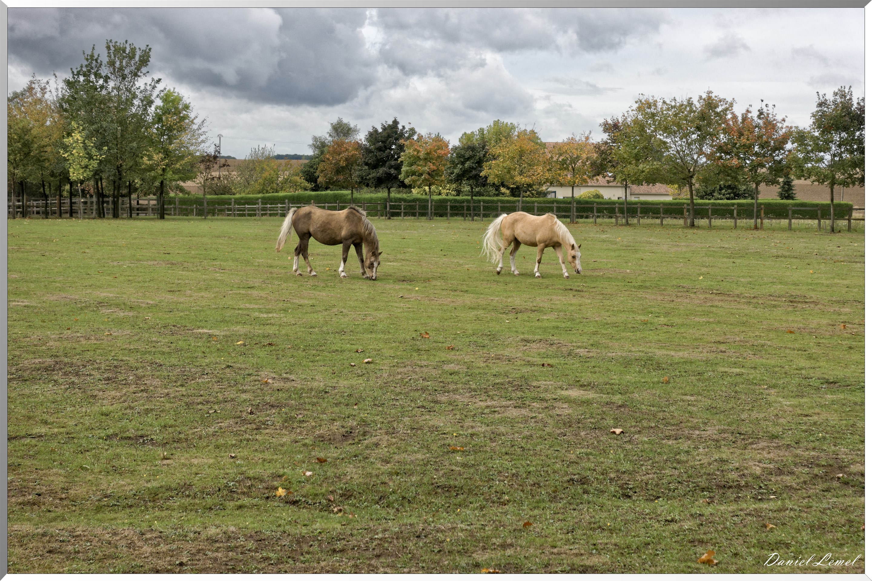 Notre-Dame-de-la-Mer