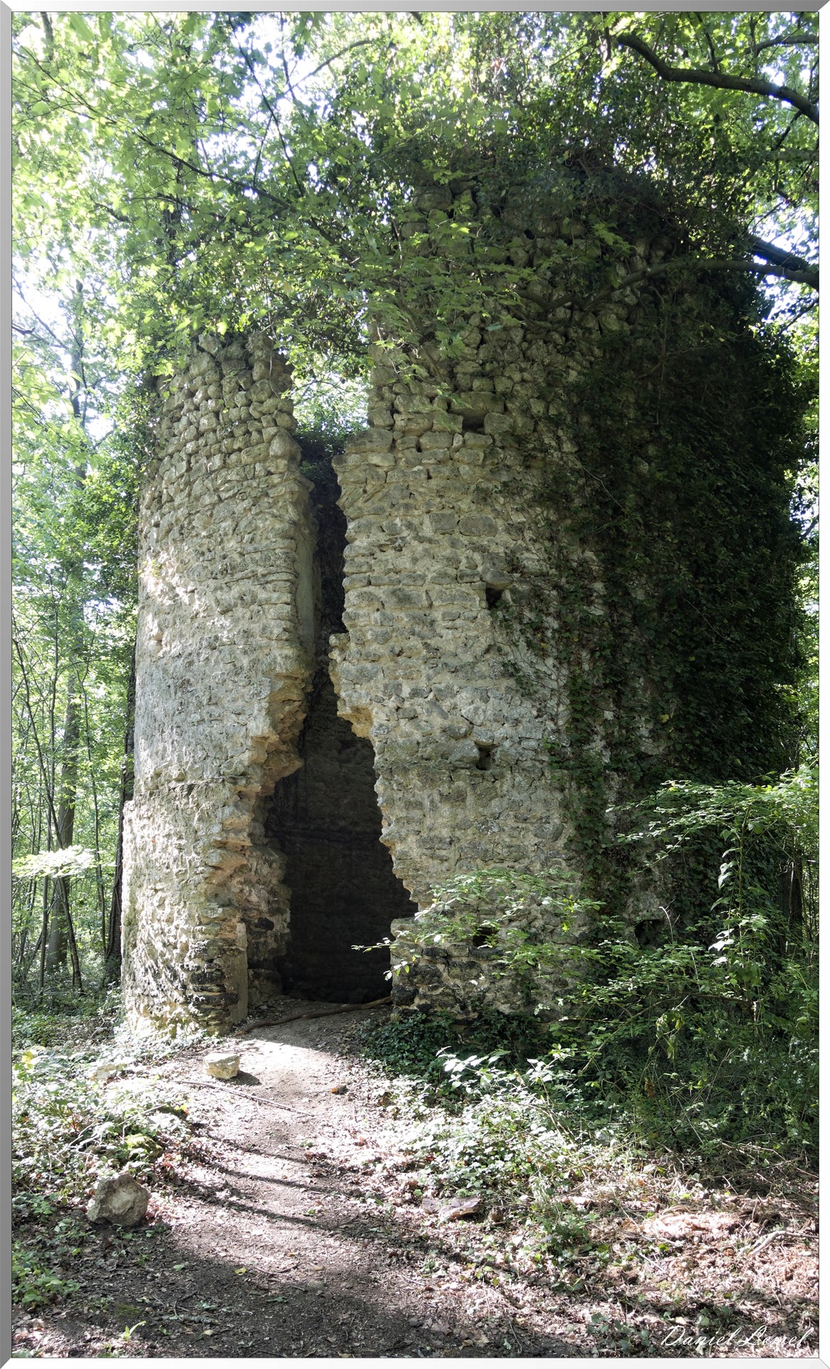 Le Bois de Brillehaut