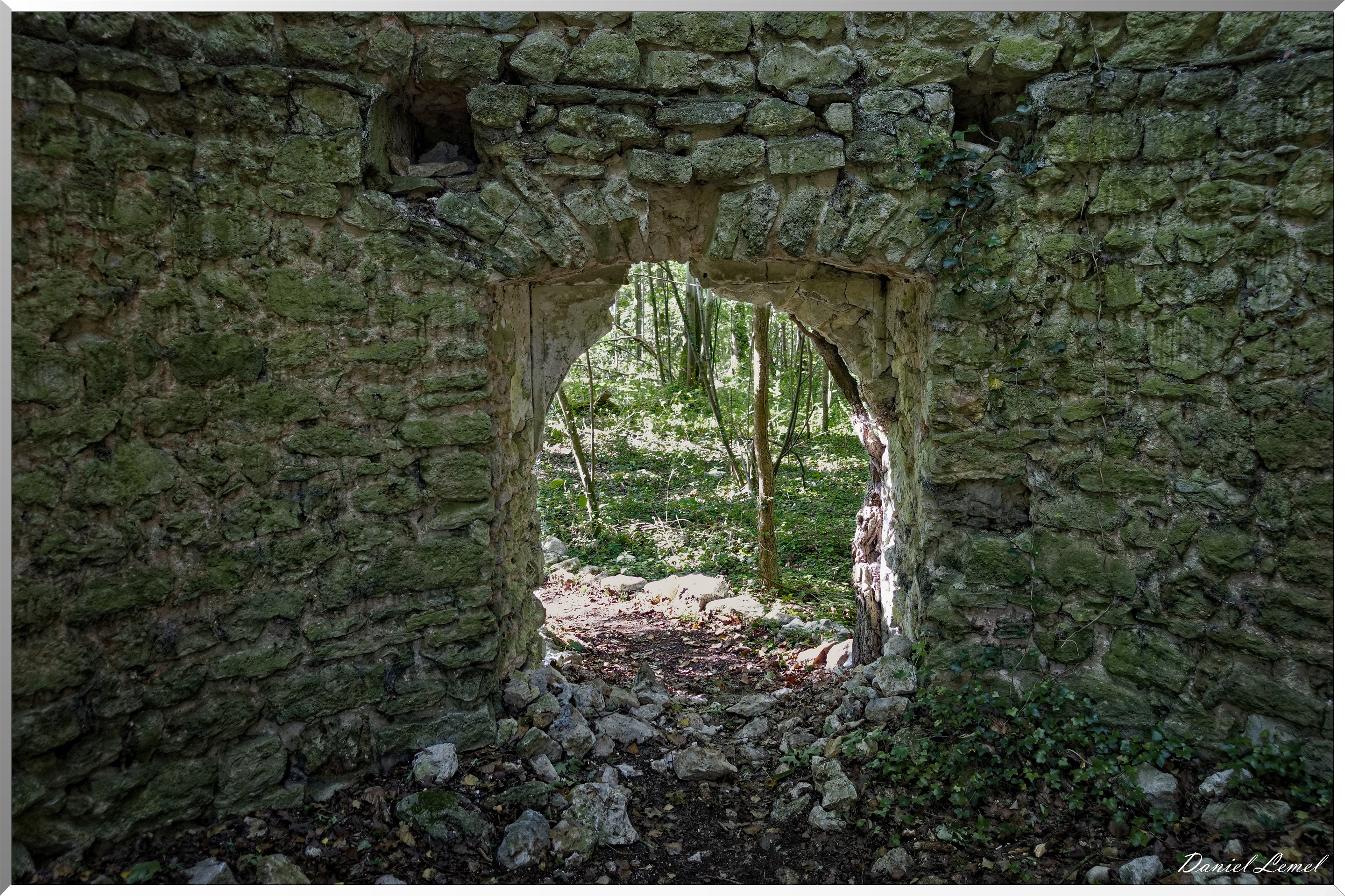 Le Bois de Brillehaut