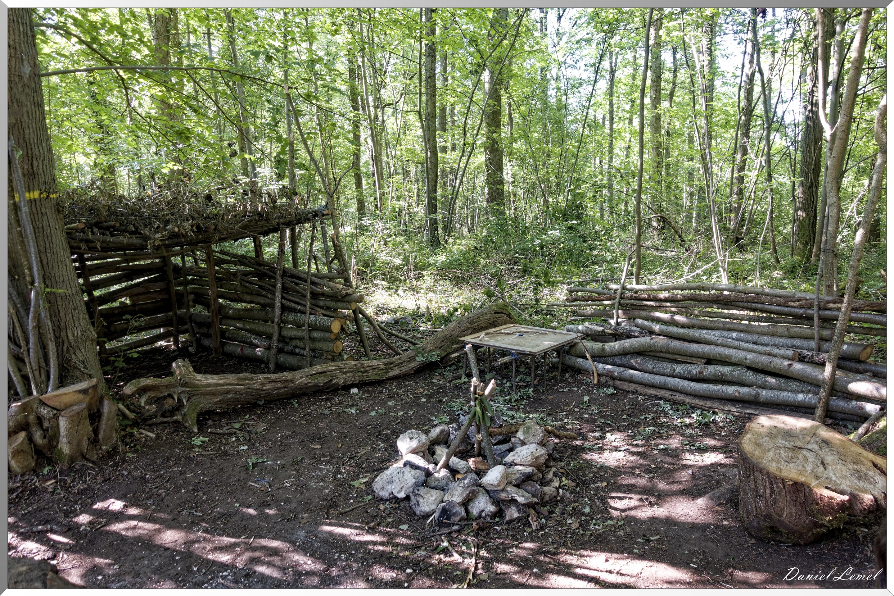 Le Bois de Brillehaut