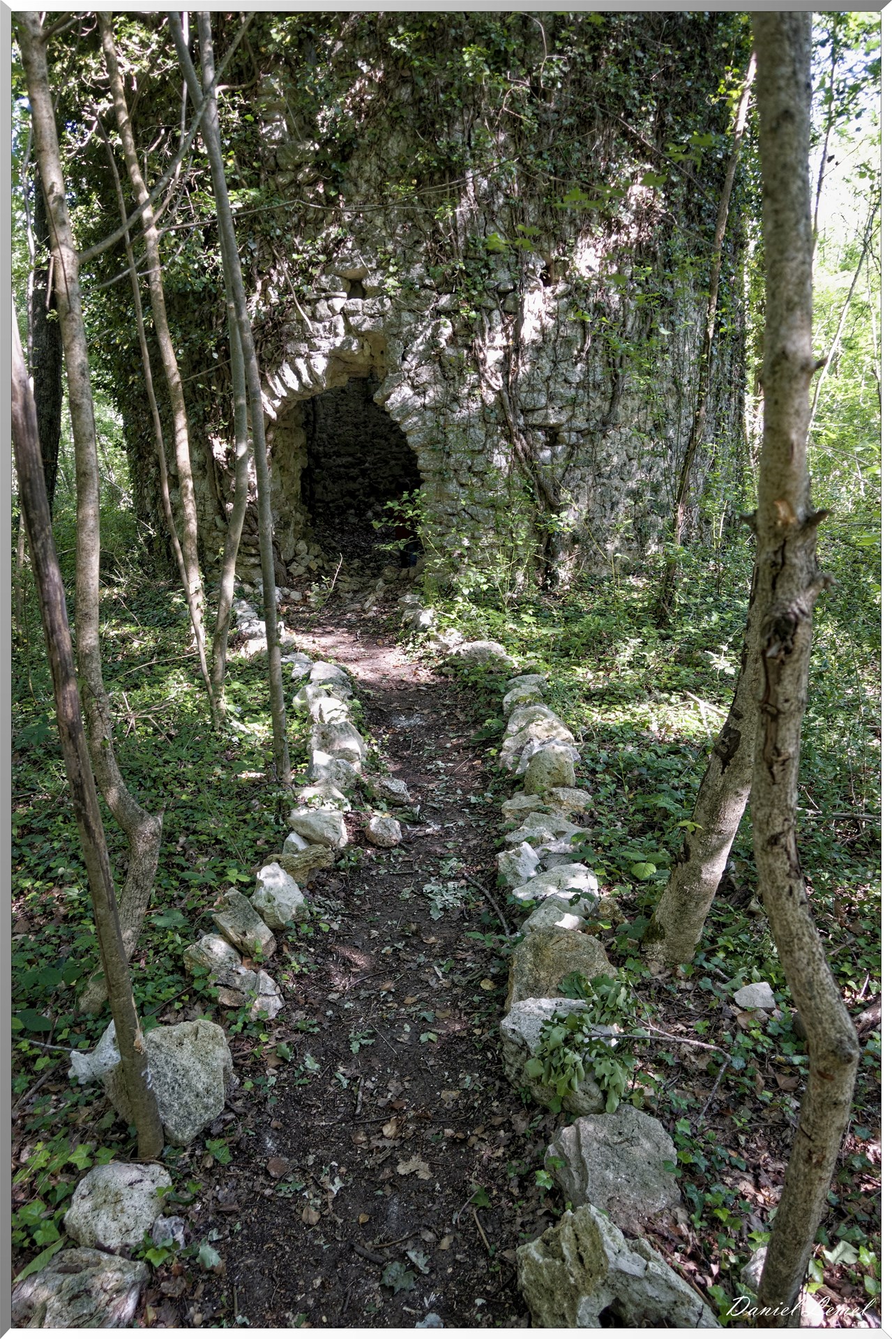 Le Bois de Brillehaut