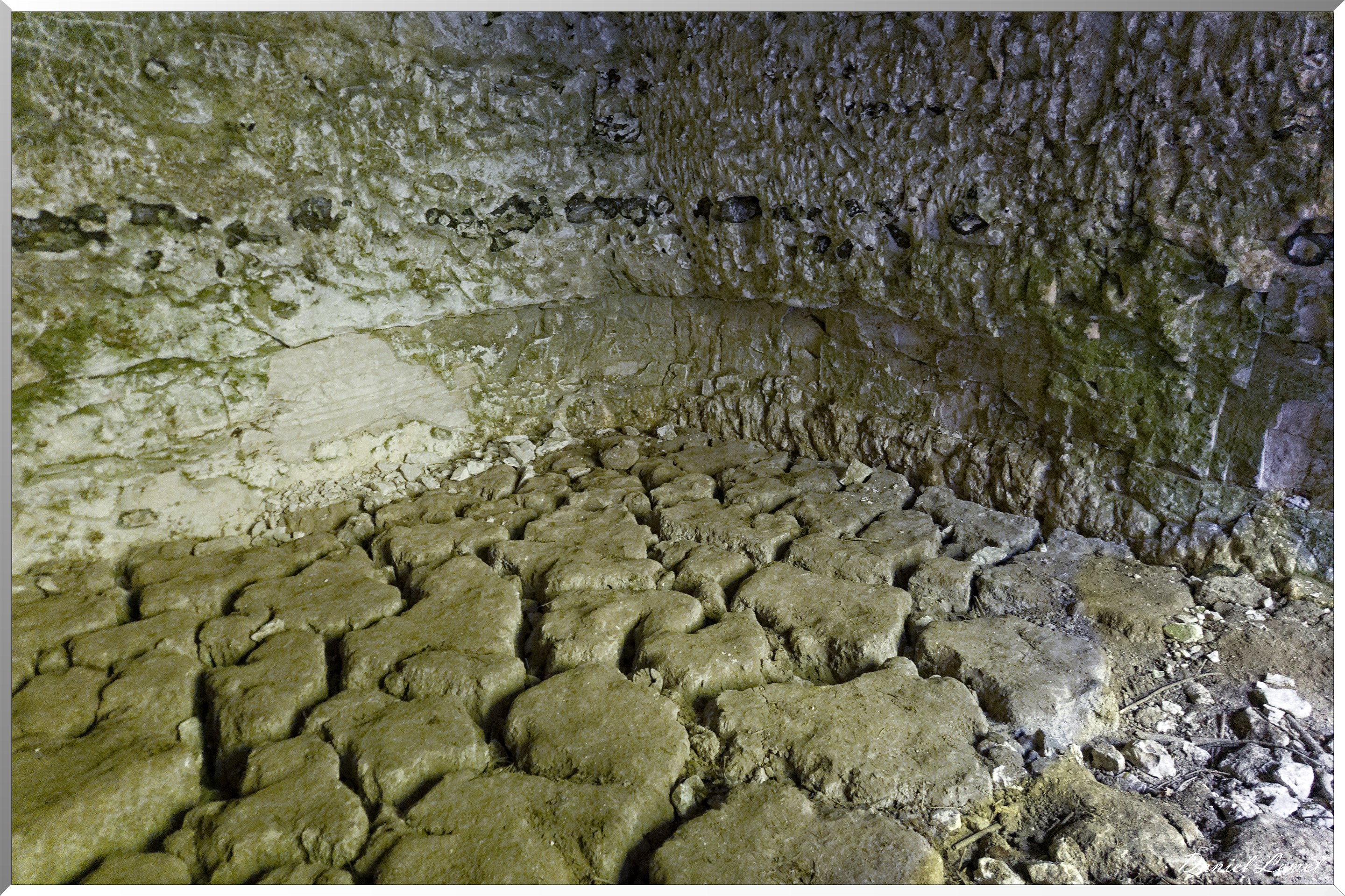 Le Bois de Brillehaut