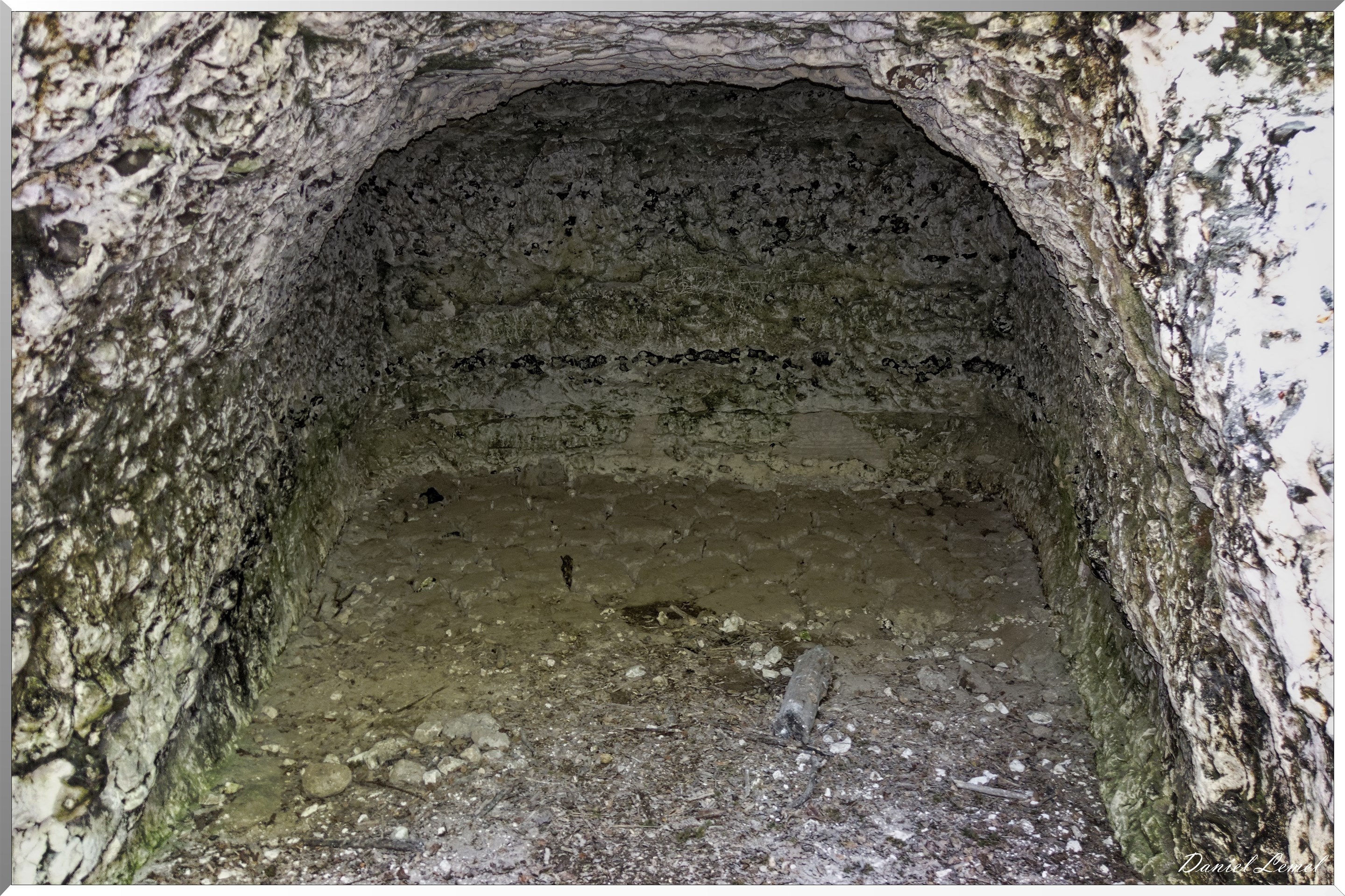 Le Bois de Brillehaut