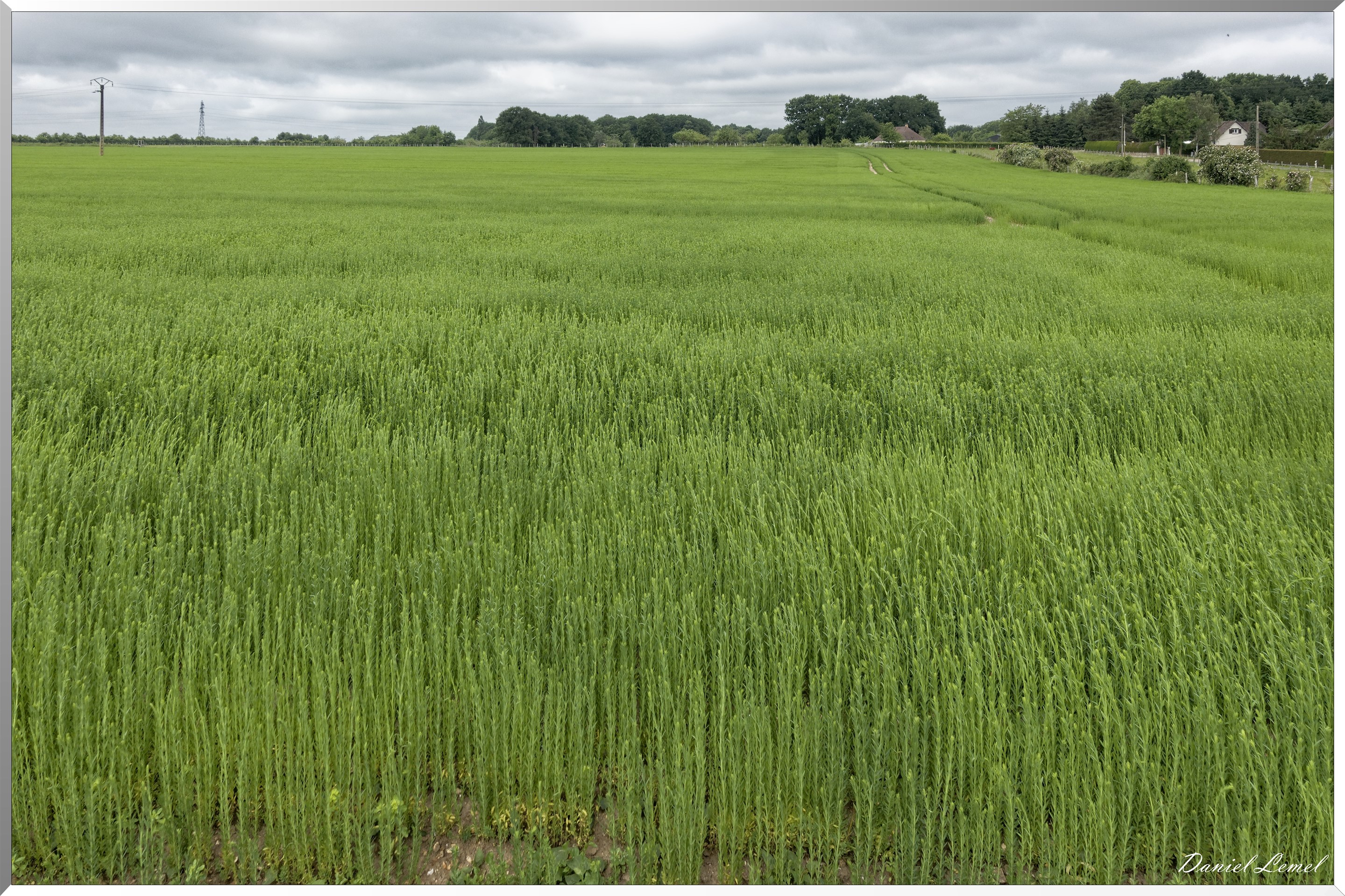 Saint-Pierre-de-Bailleul