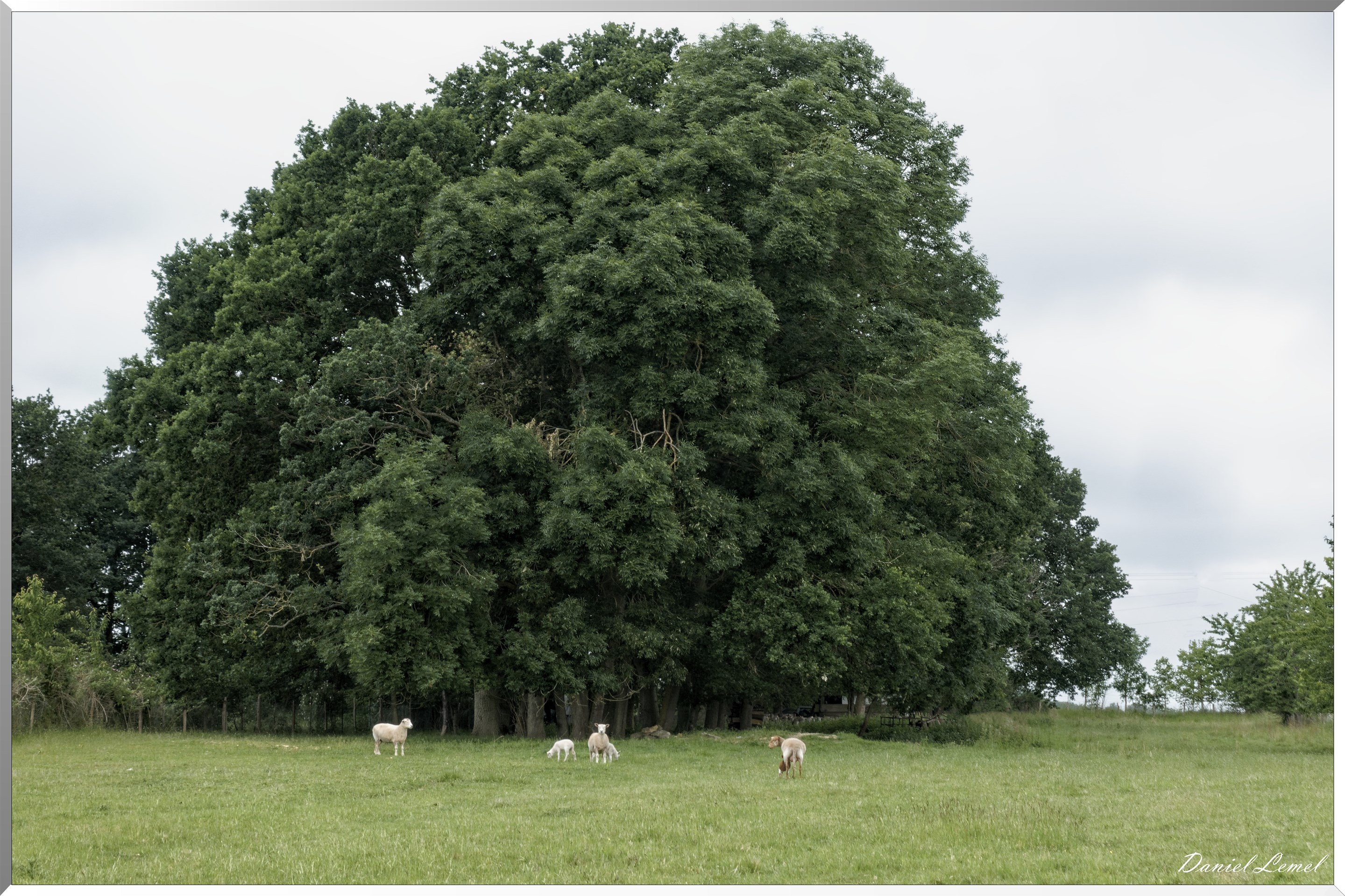 Saint-Pierre-de-Bailleul