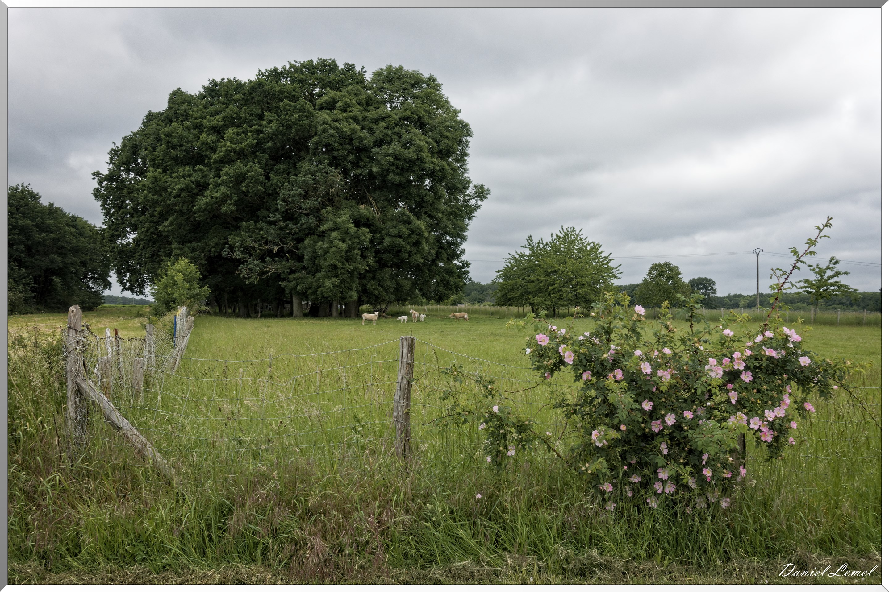 Saint-Pierre-de-Bailleul