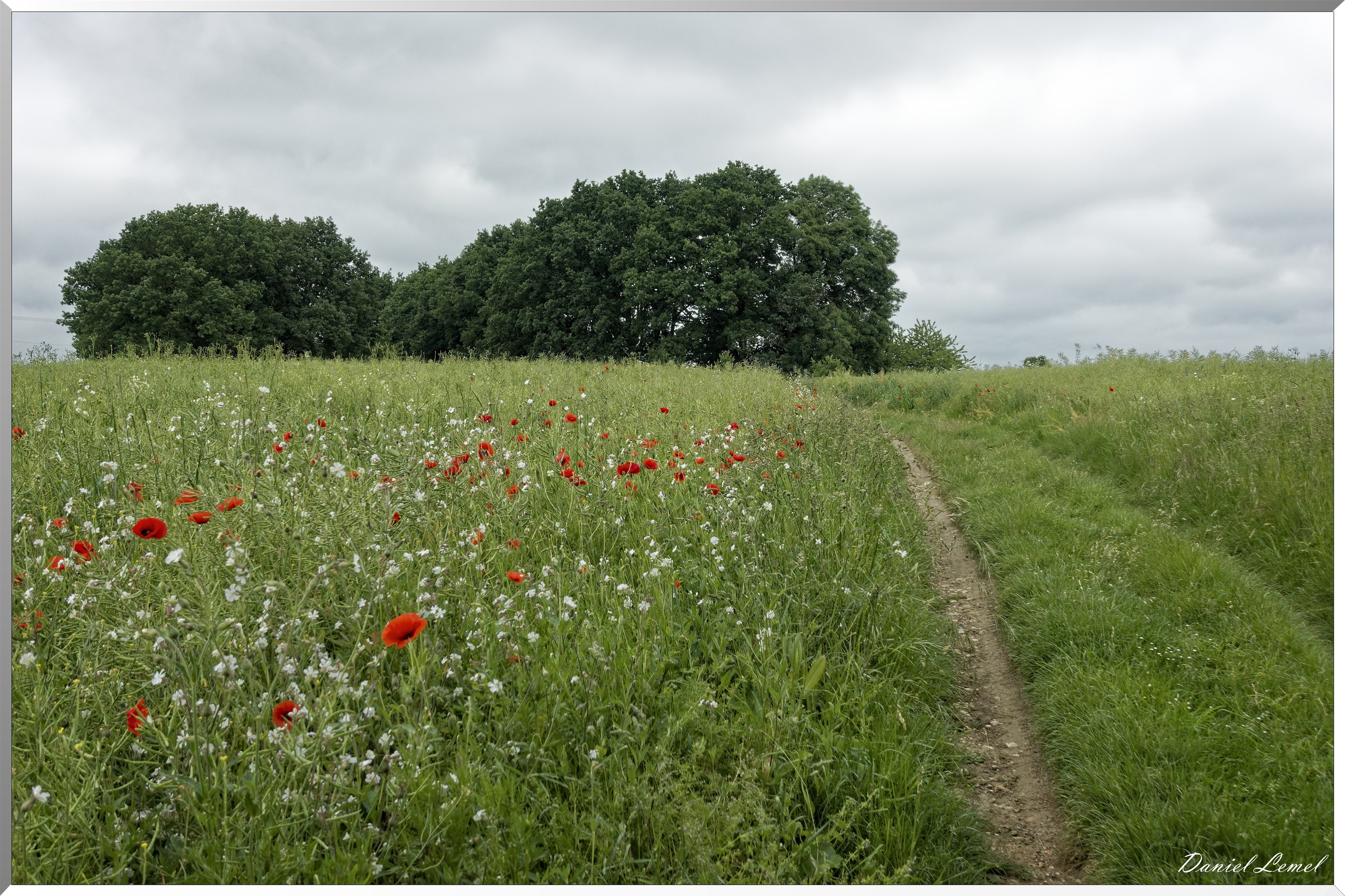 Saint-Pierre-de-Bailleul