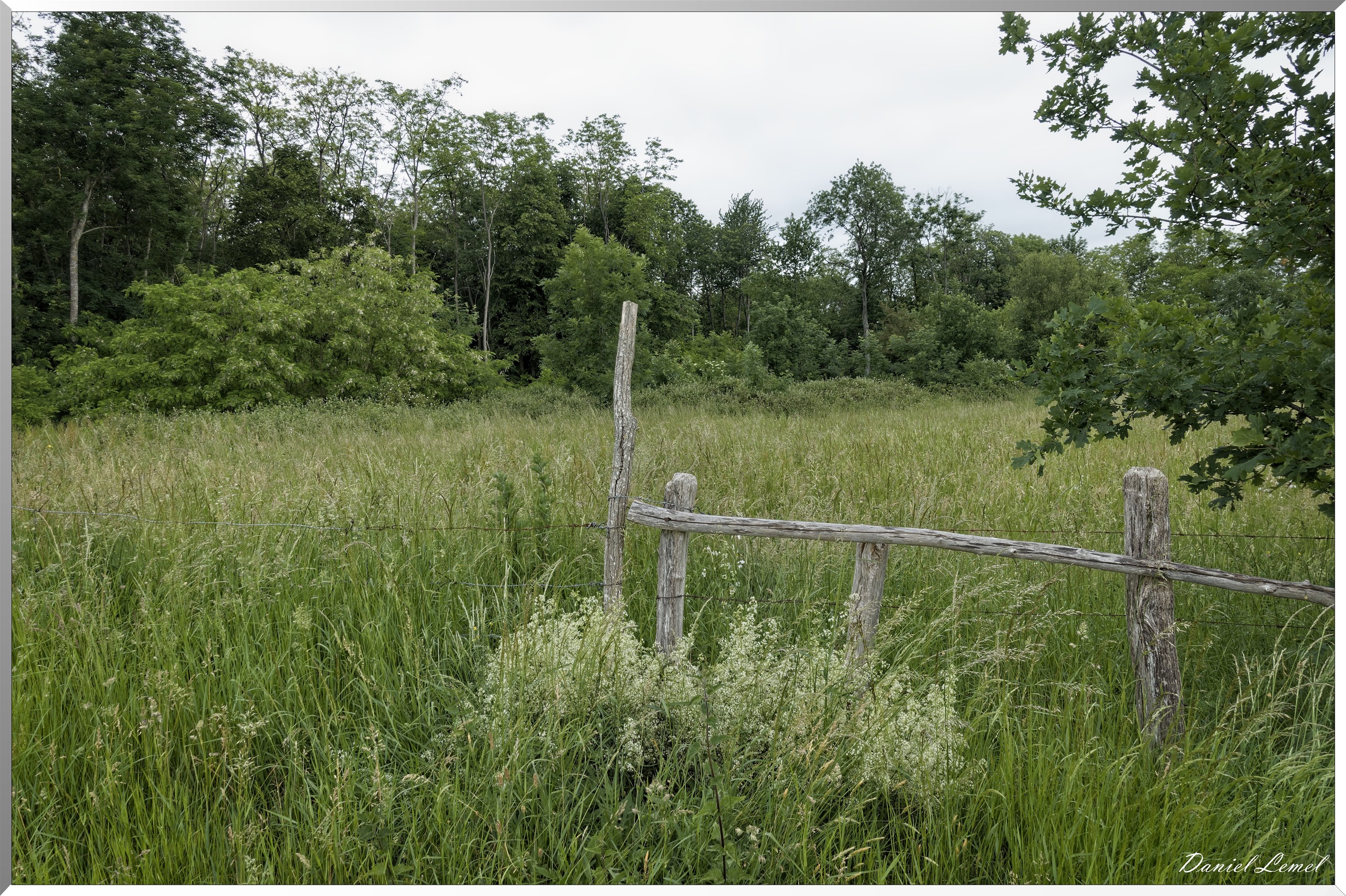 Saint-Pierre-de-Bailleul