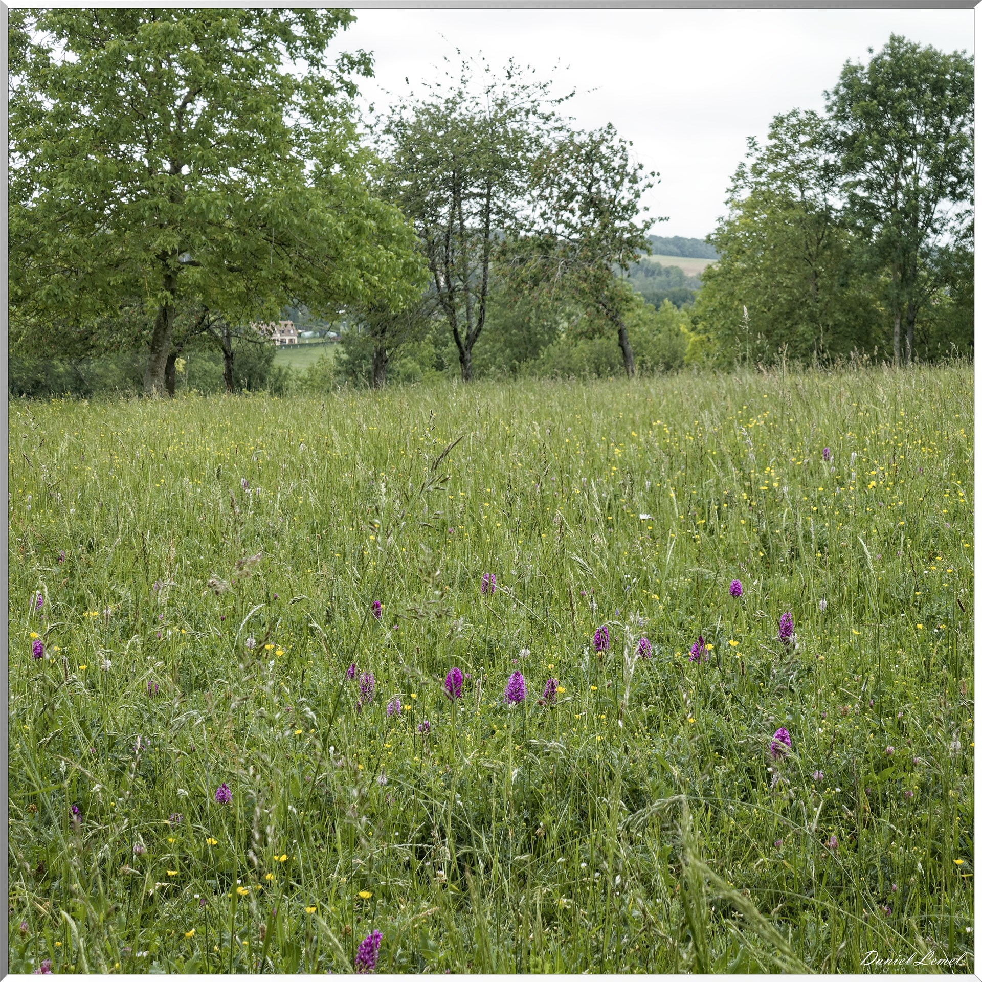 Saint-Pierre-de-Bailleul