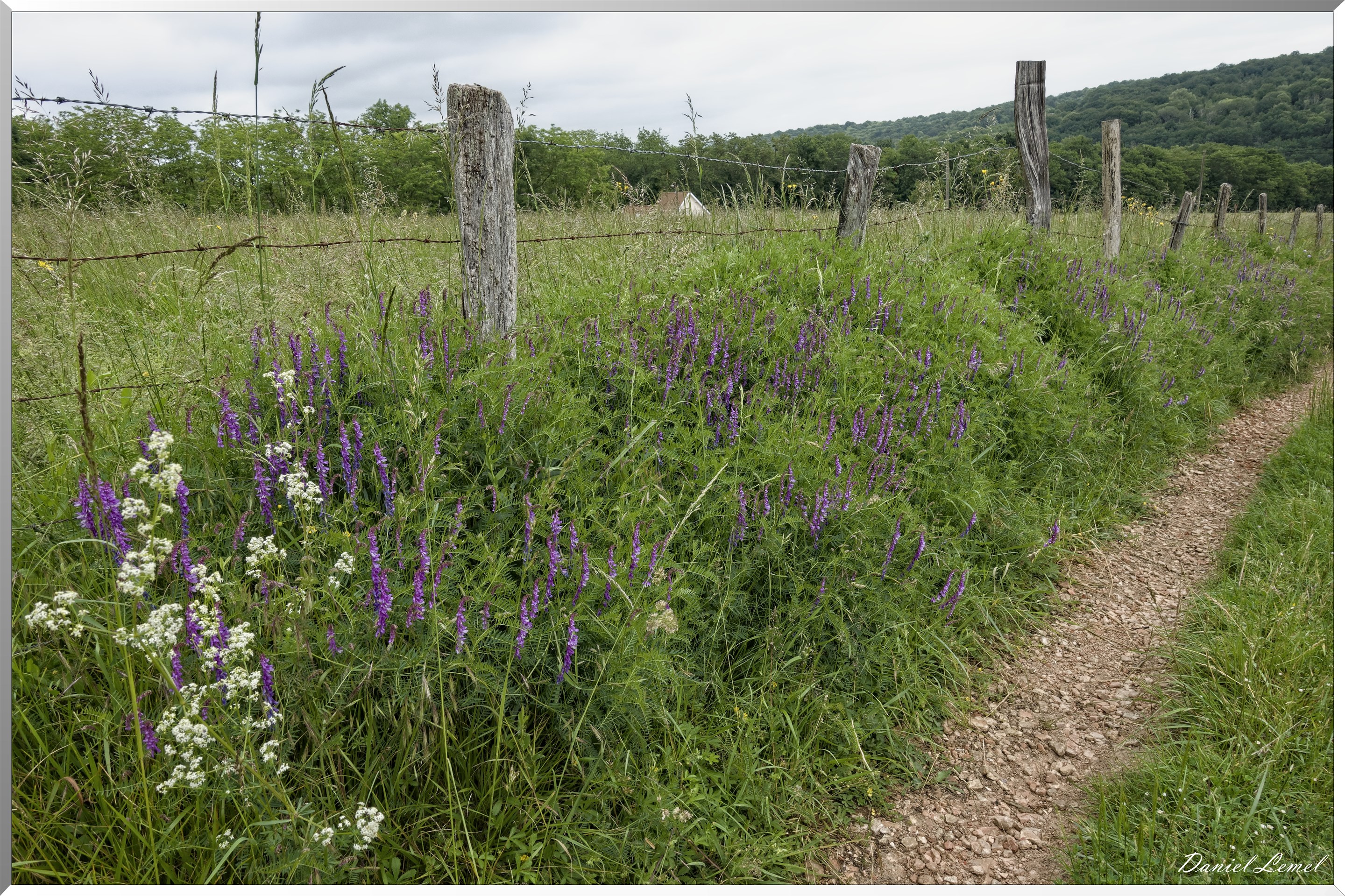 Saint-Pierre-de-Bailleul