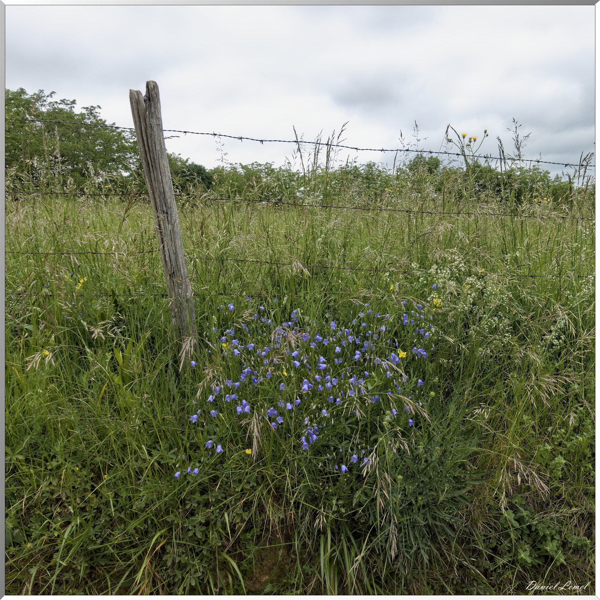 Saint-Pierre-de-Bailleul