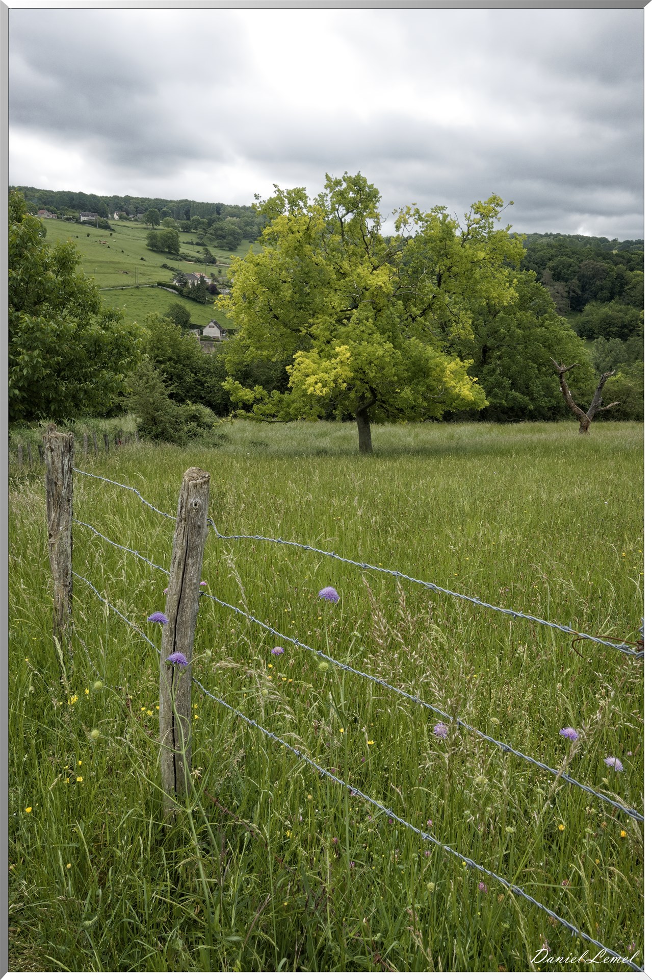 Saint-Pierre-de-Bailleul
