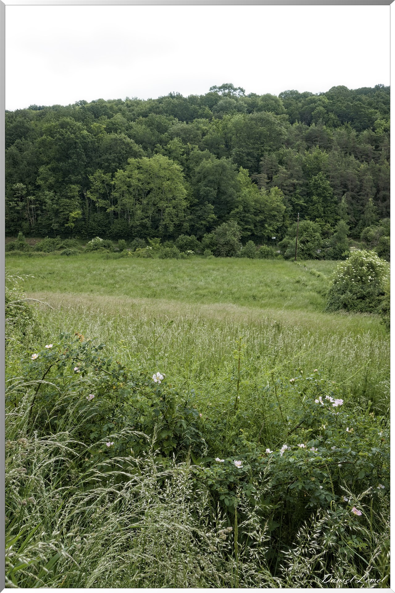 Saint-Pierre-de-Bailleul