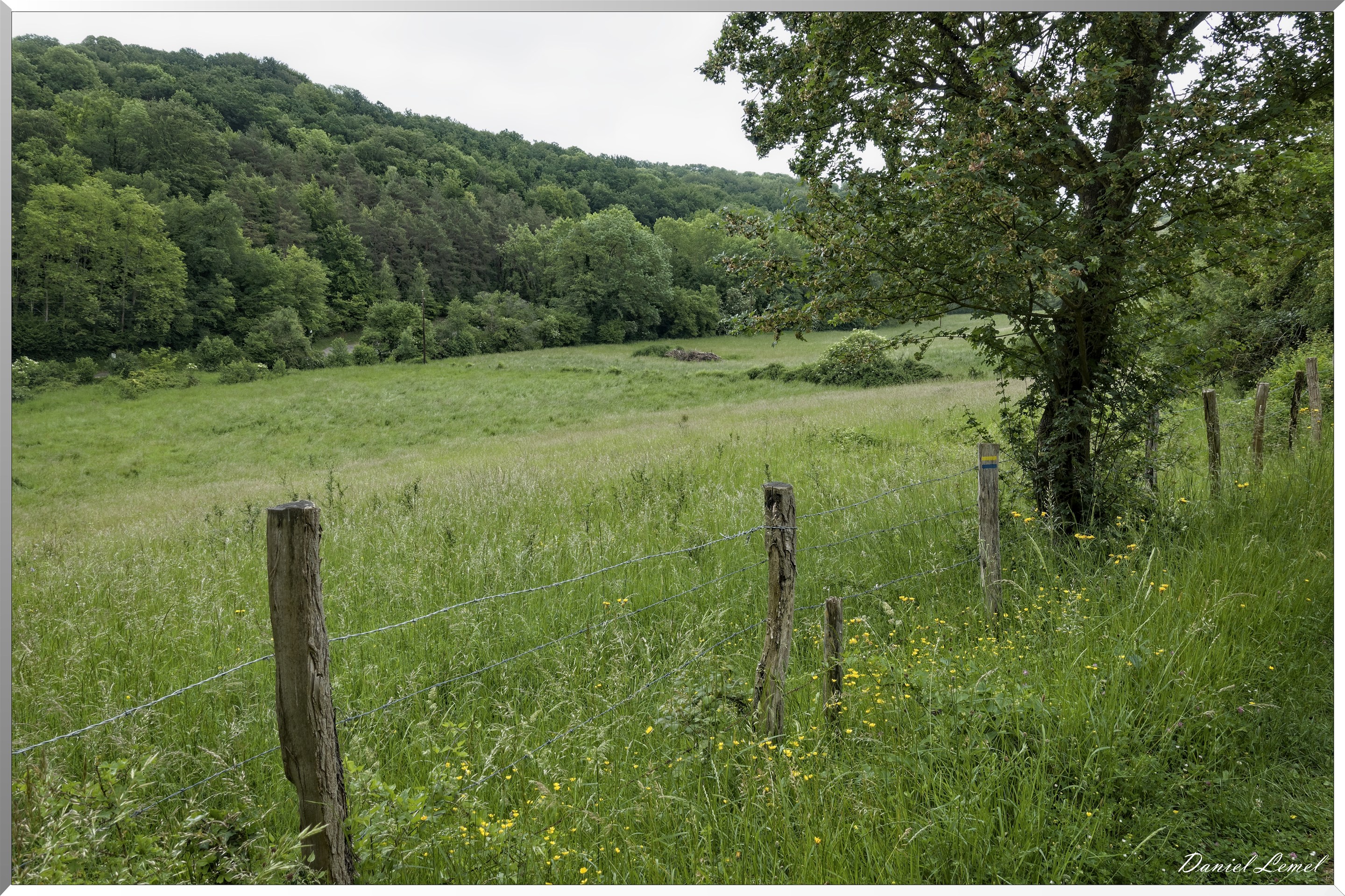 Saint-Pierre-de-Bailleul