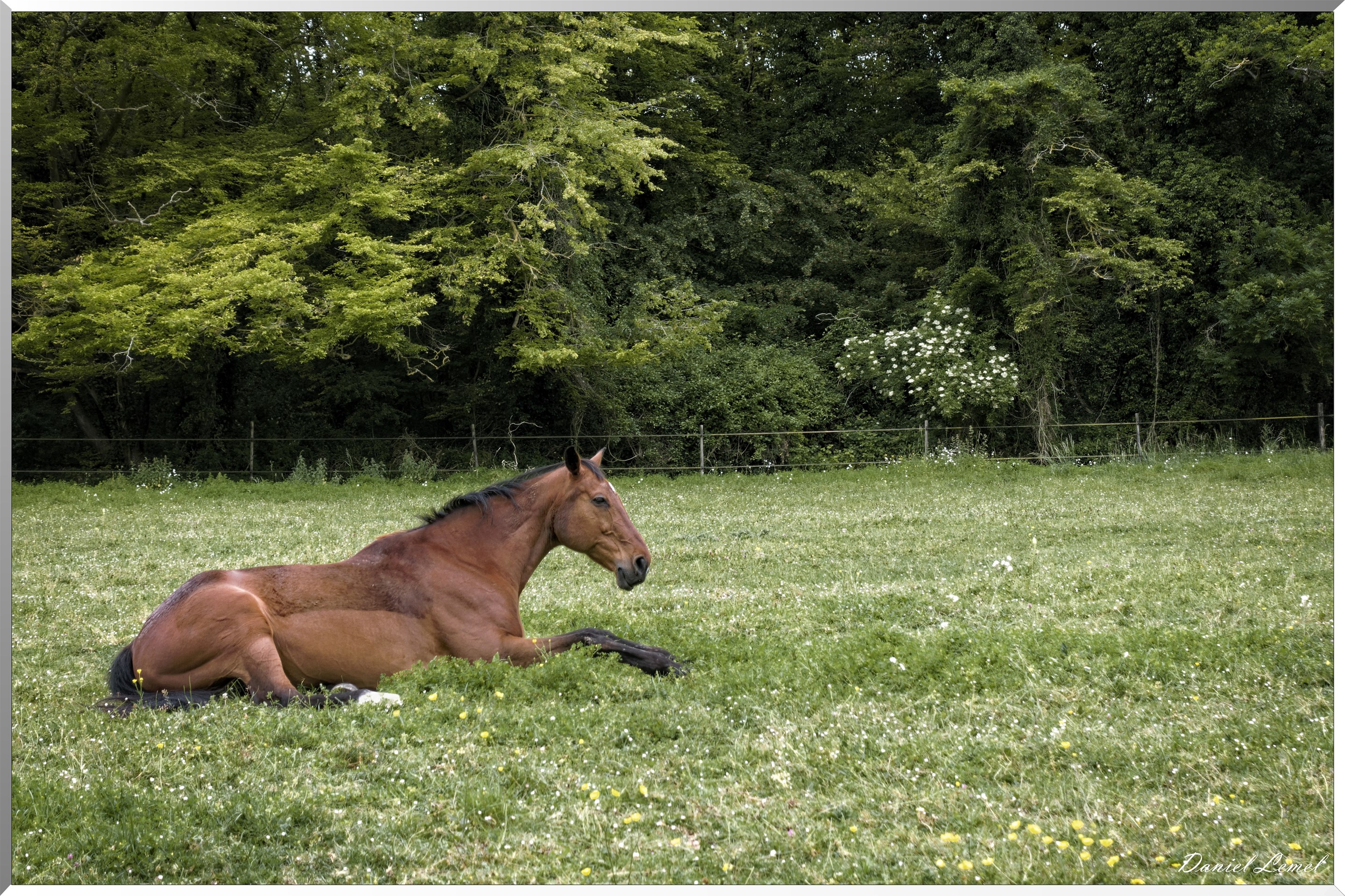 Saint-Pierre-de-Bailleul