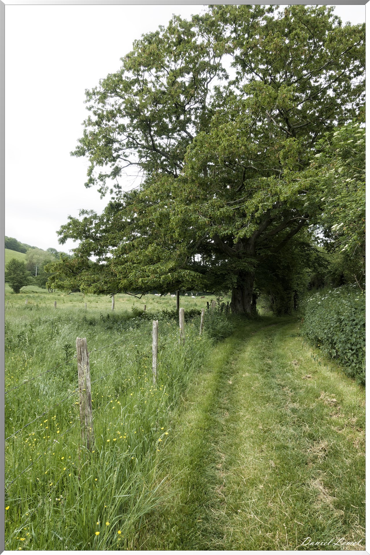 Saint-Pierre-de-Bailleul