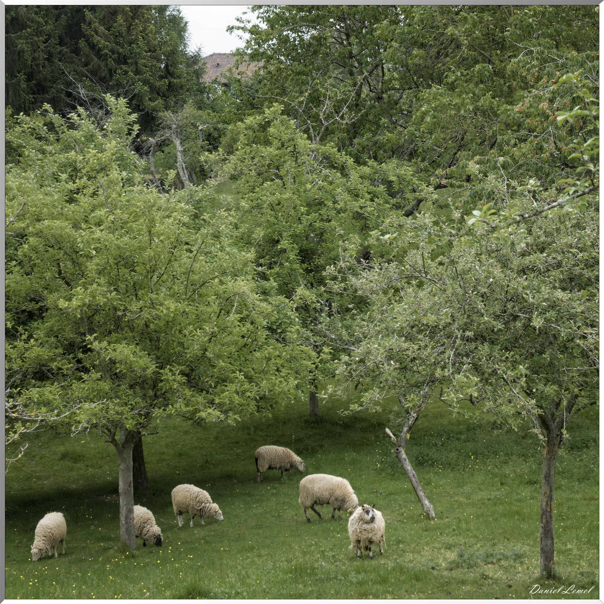 Saint-Pierre-de-Bailleul