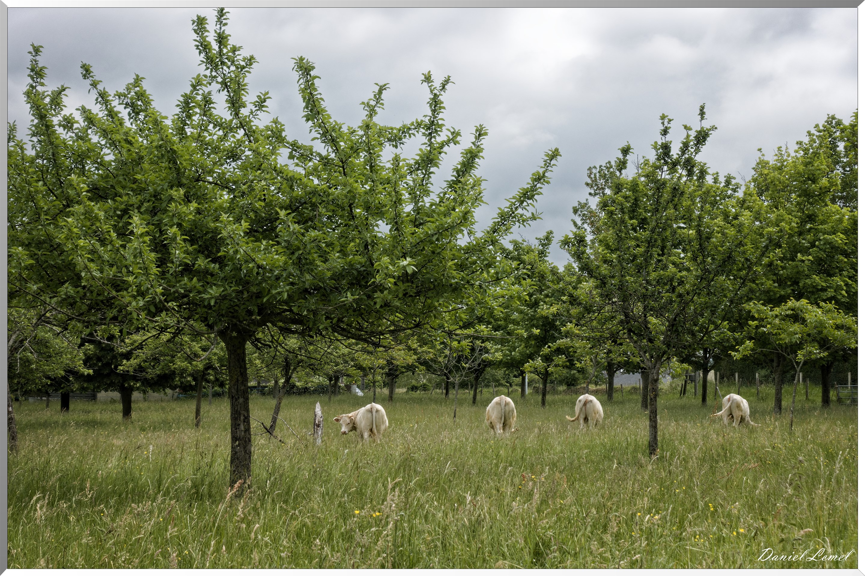 Saint-Pierre-de-Bailleul