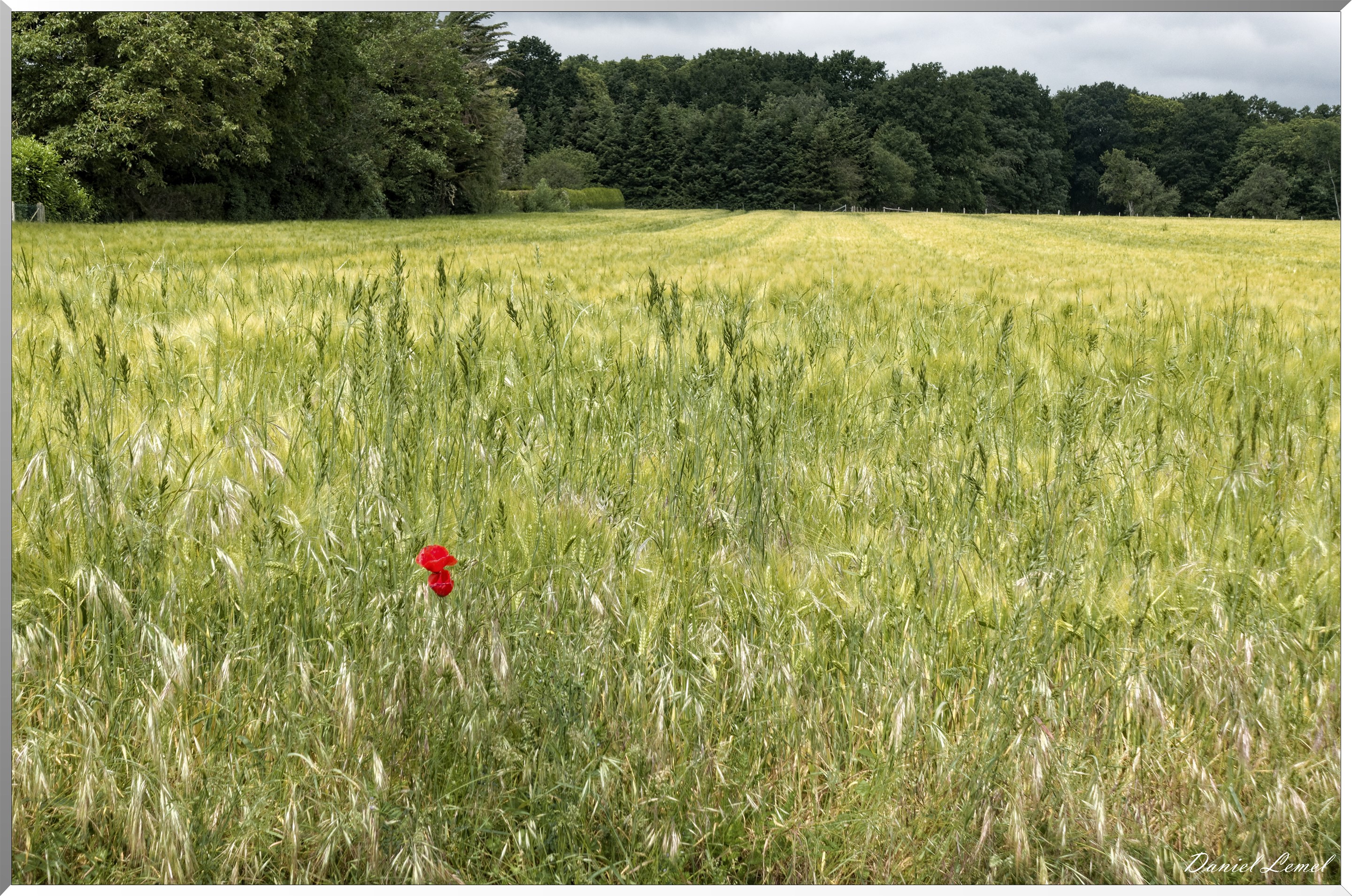 Saint-Pierre-de-Bailleul
