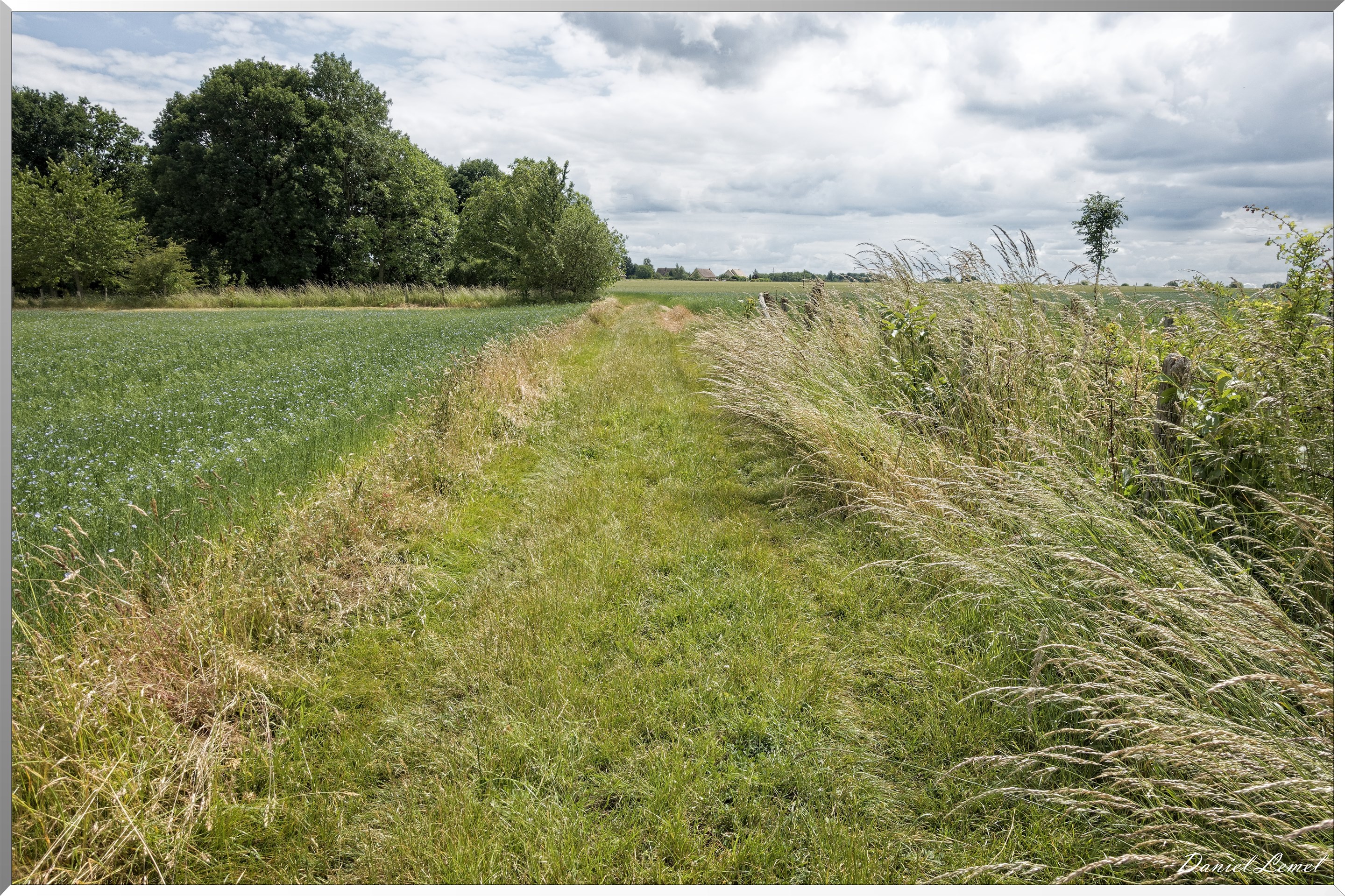 Petite ballade autour du champ de lin