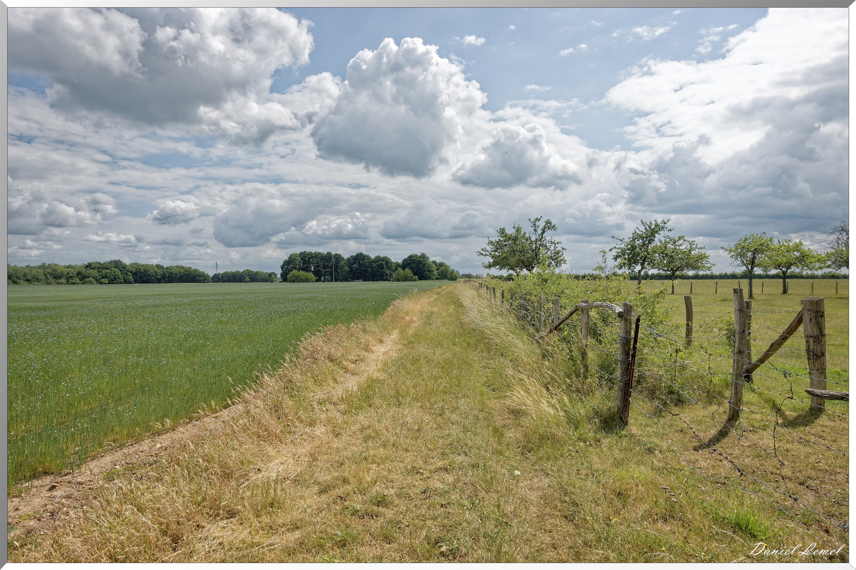 Petite ballade autour du champ de lin