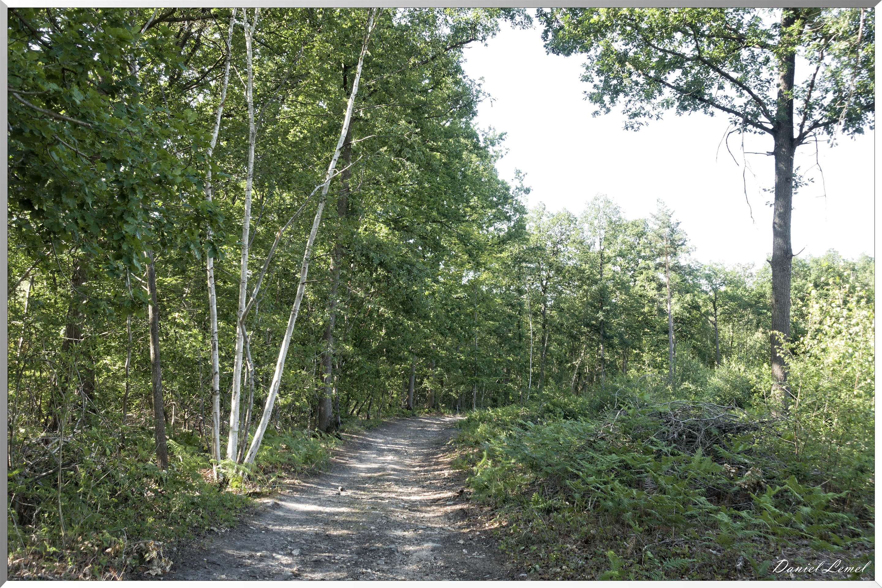 La Chapelle-Réanville