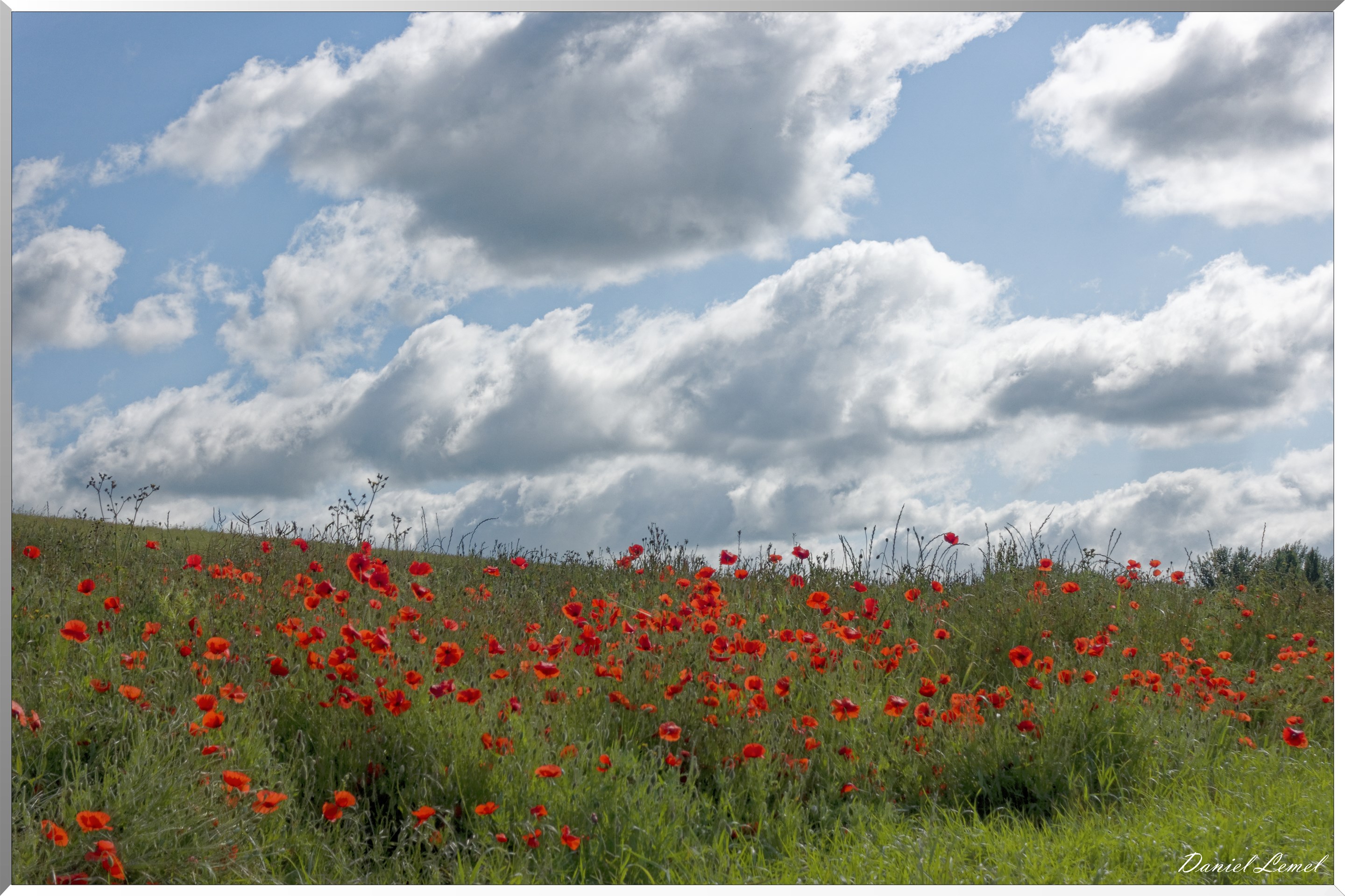 La Chapelle-Réanville