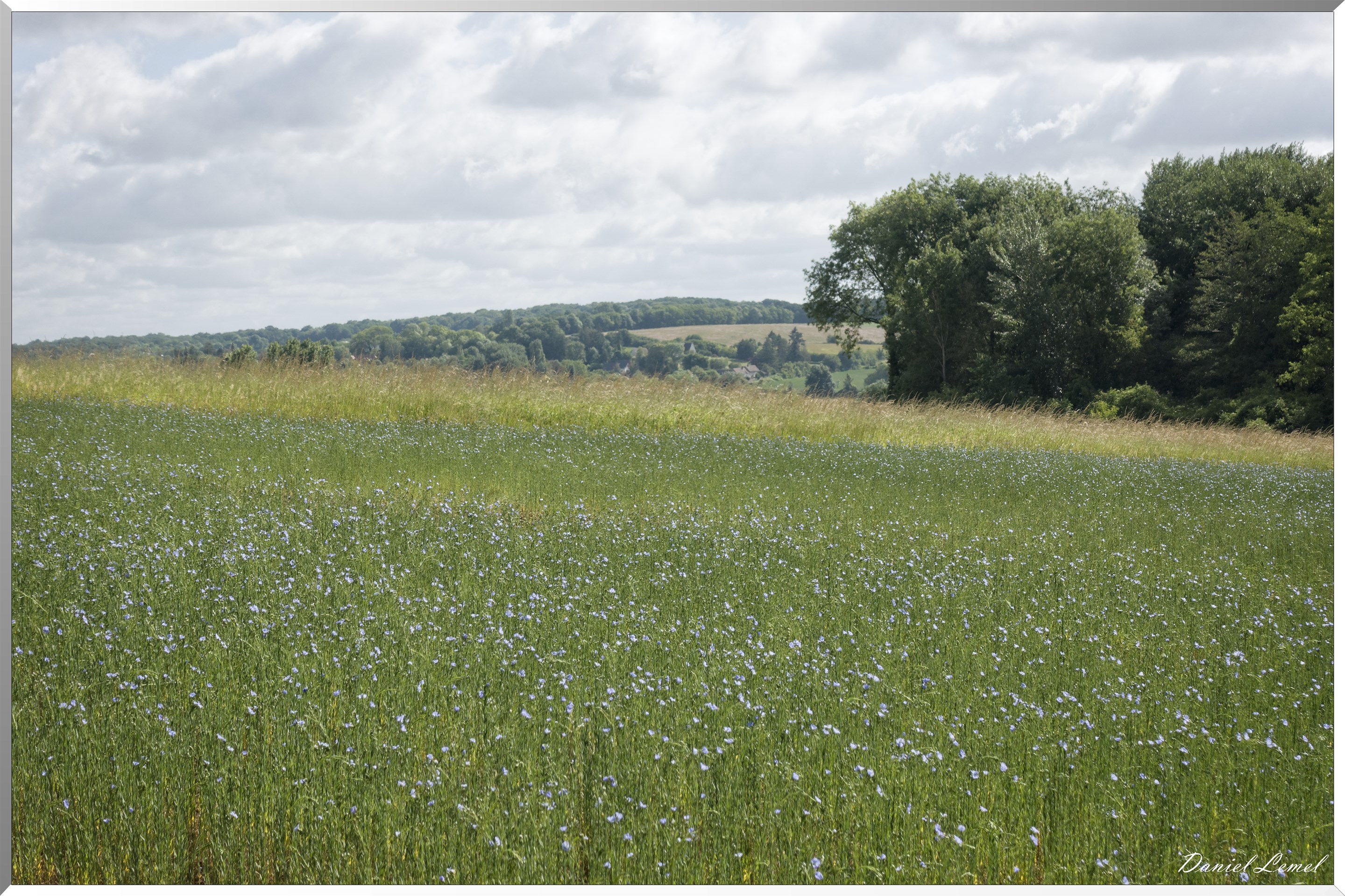 La Chapelle-Réanville