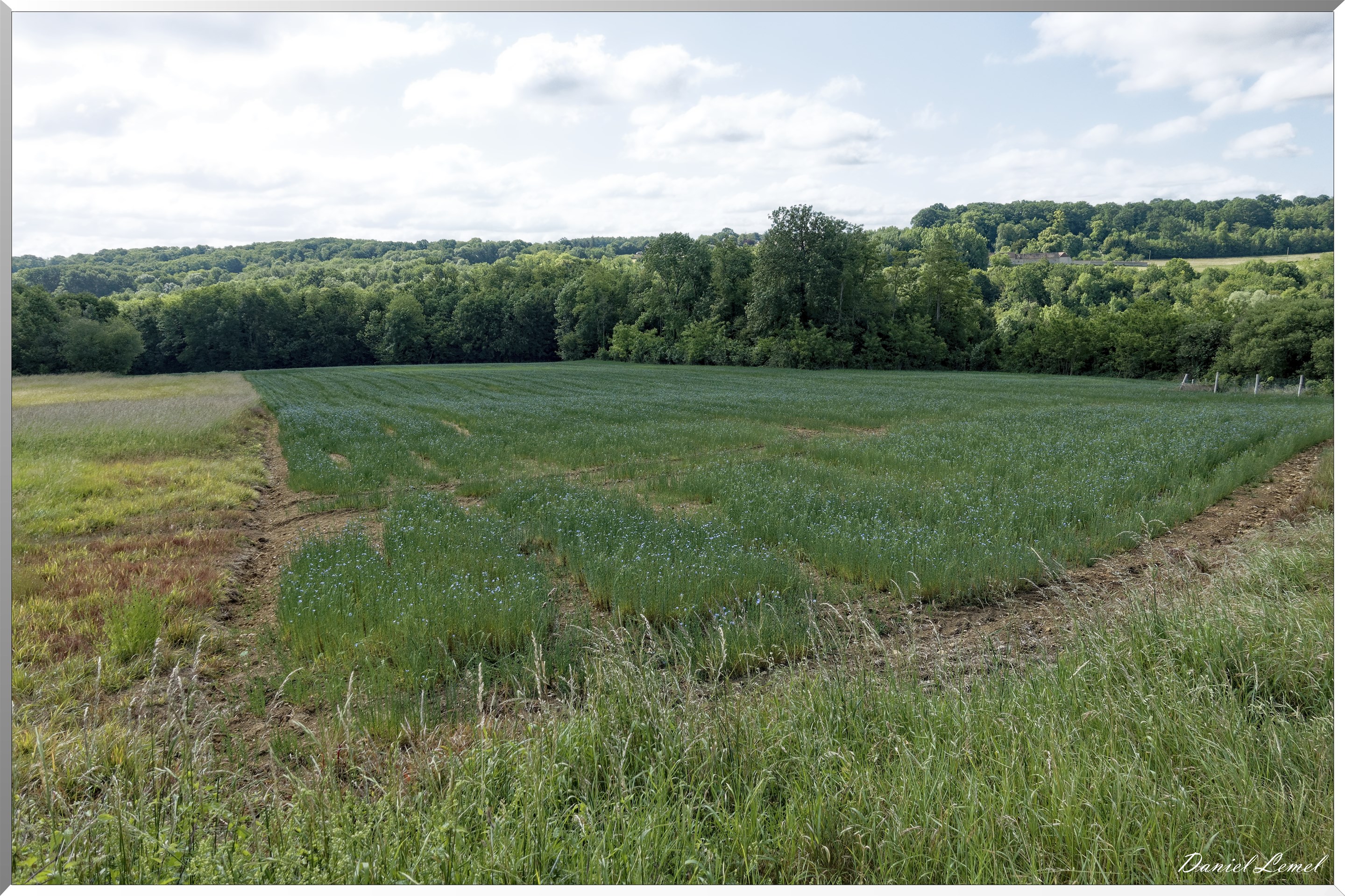 La Chapelle-Réanville