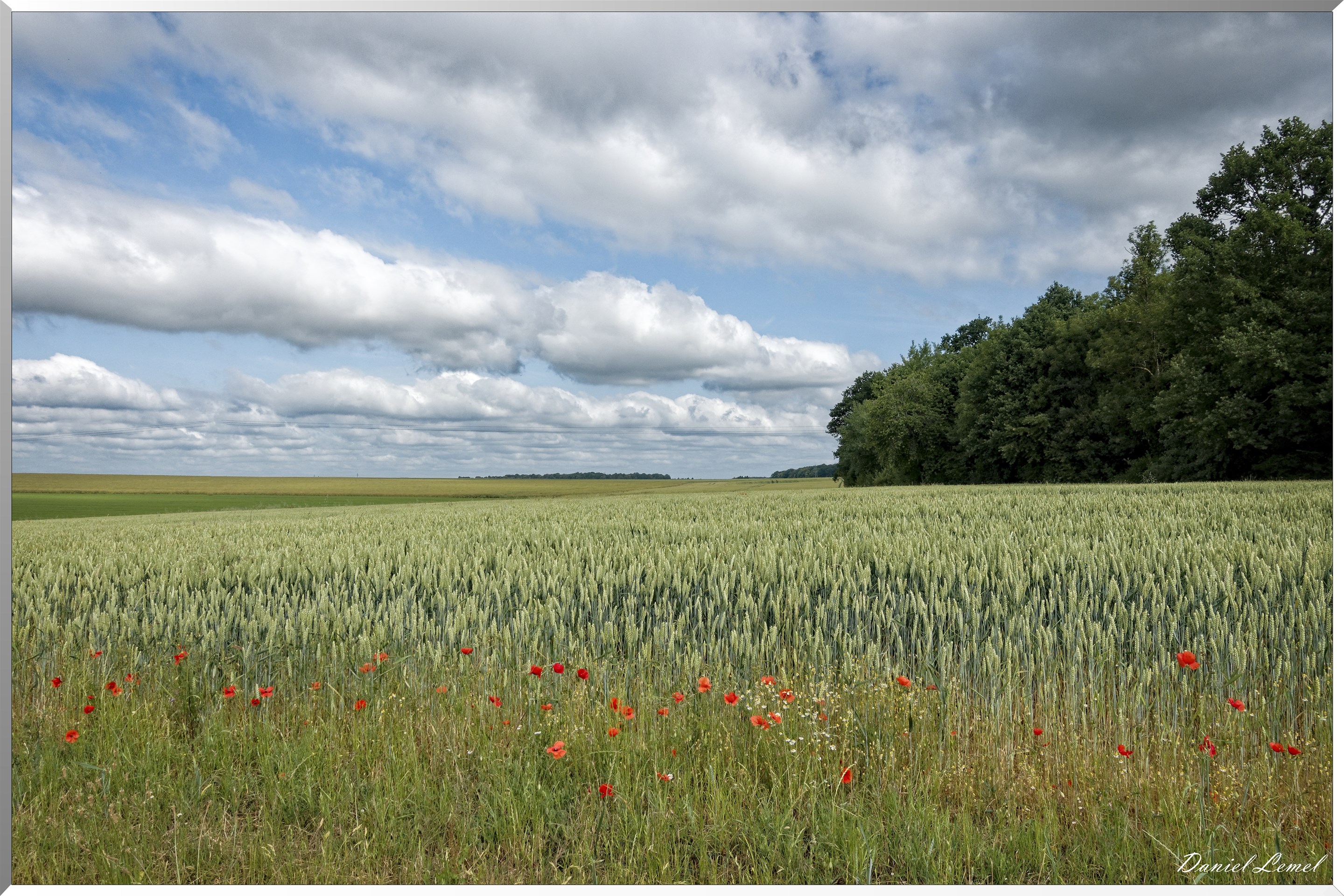 La Chapelle-Réanville