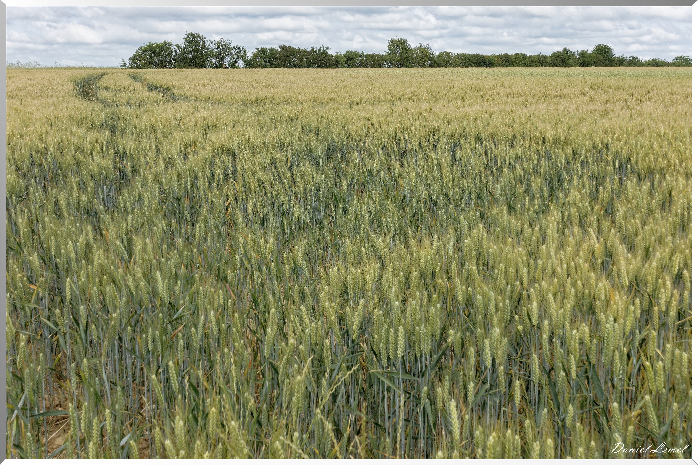 La Chapelle-Réanville