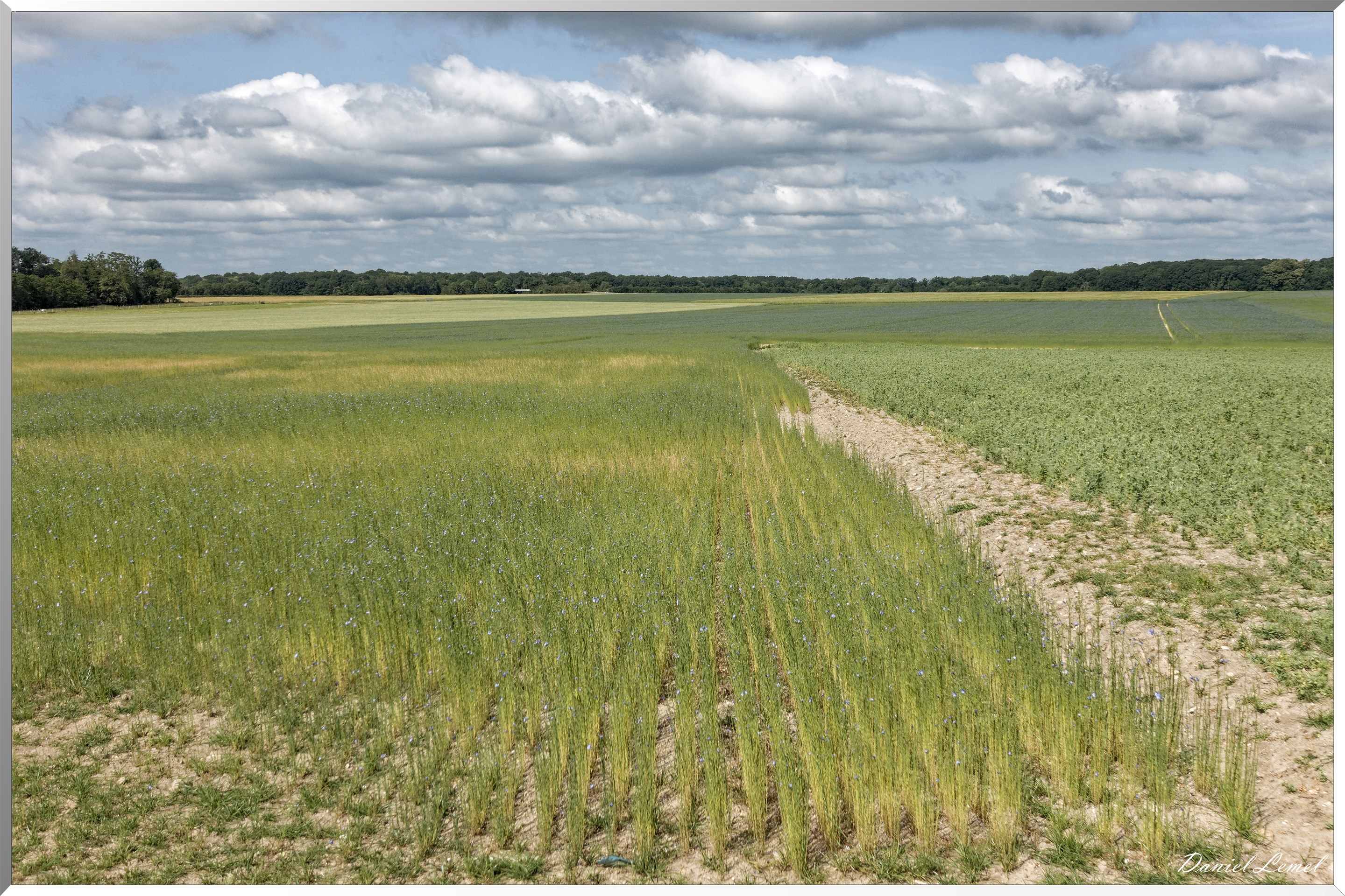 La Chapelle-Réanville