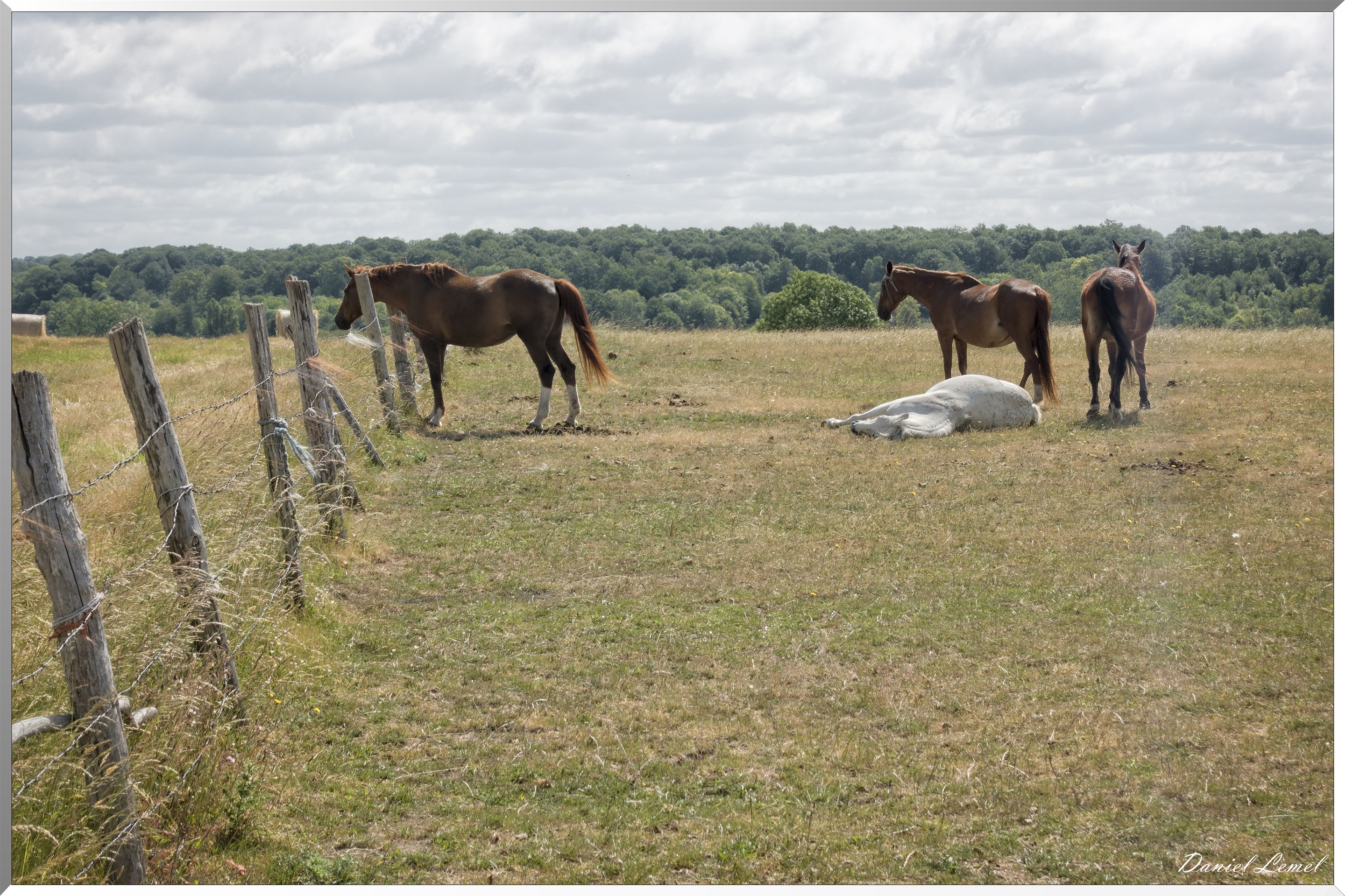 La Chapelle-Réanville
