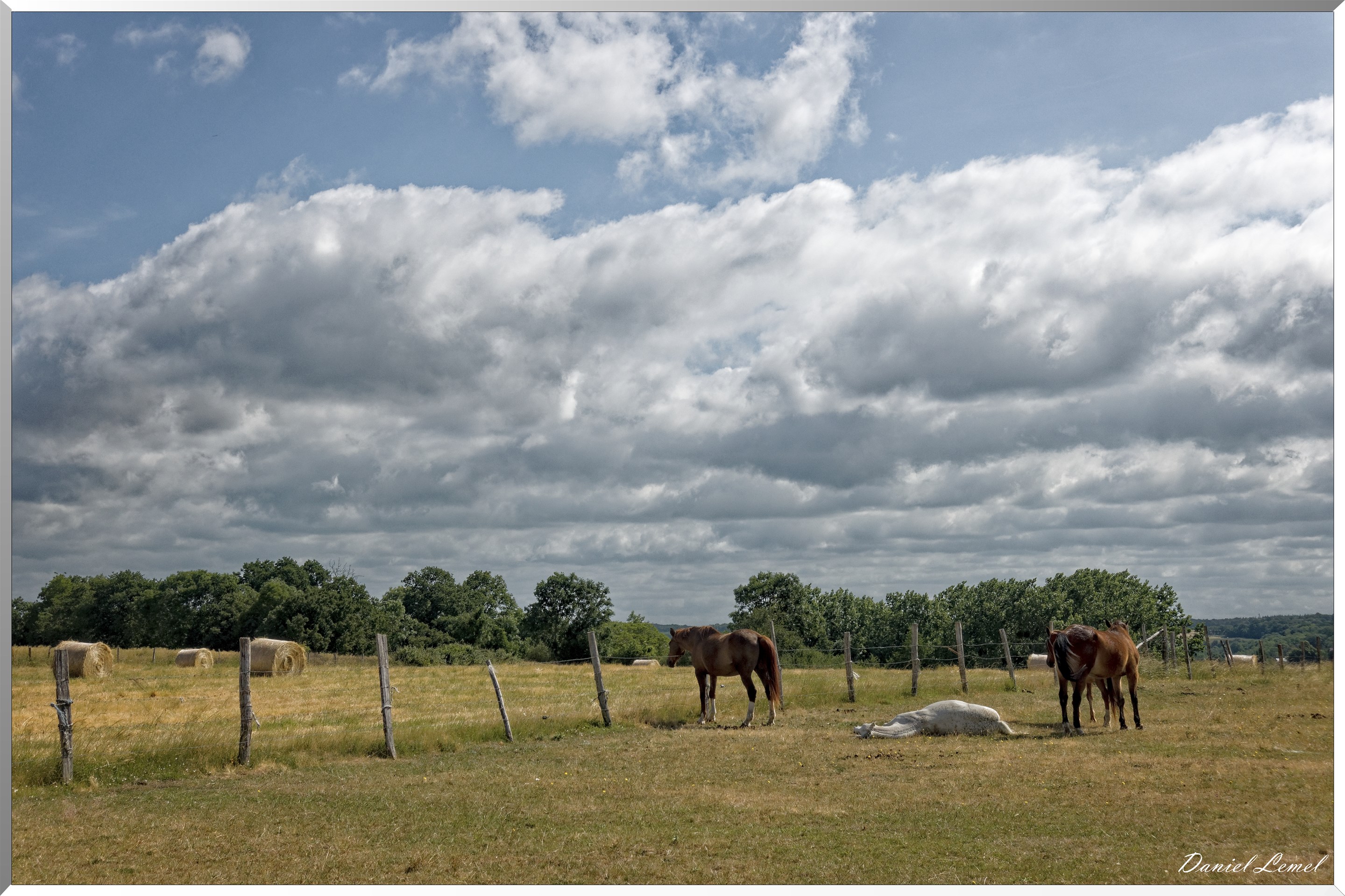 La Chapelle-Réanville