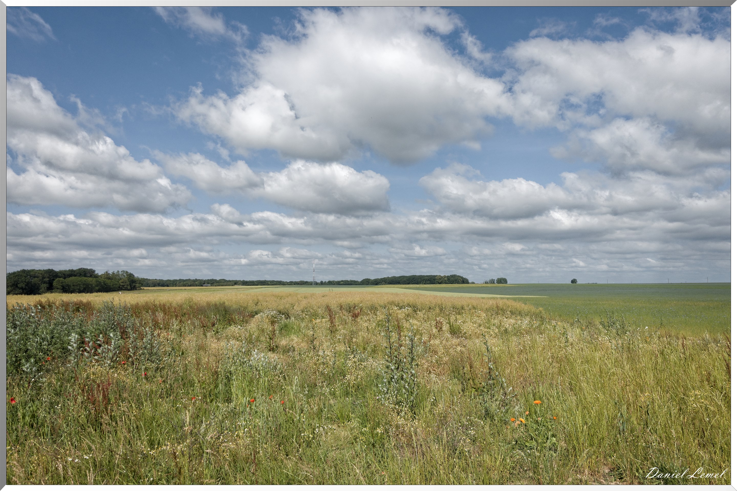 La Chapelle-Réanville