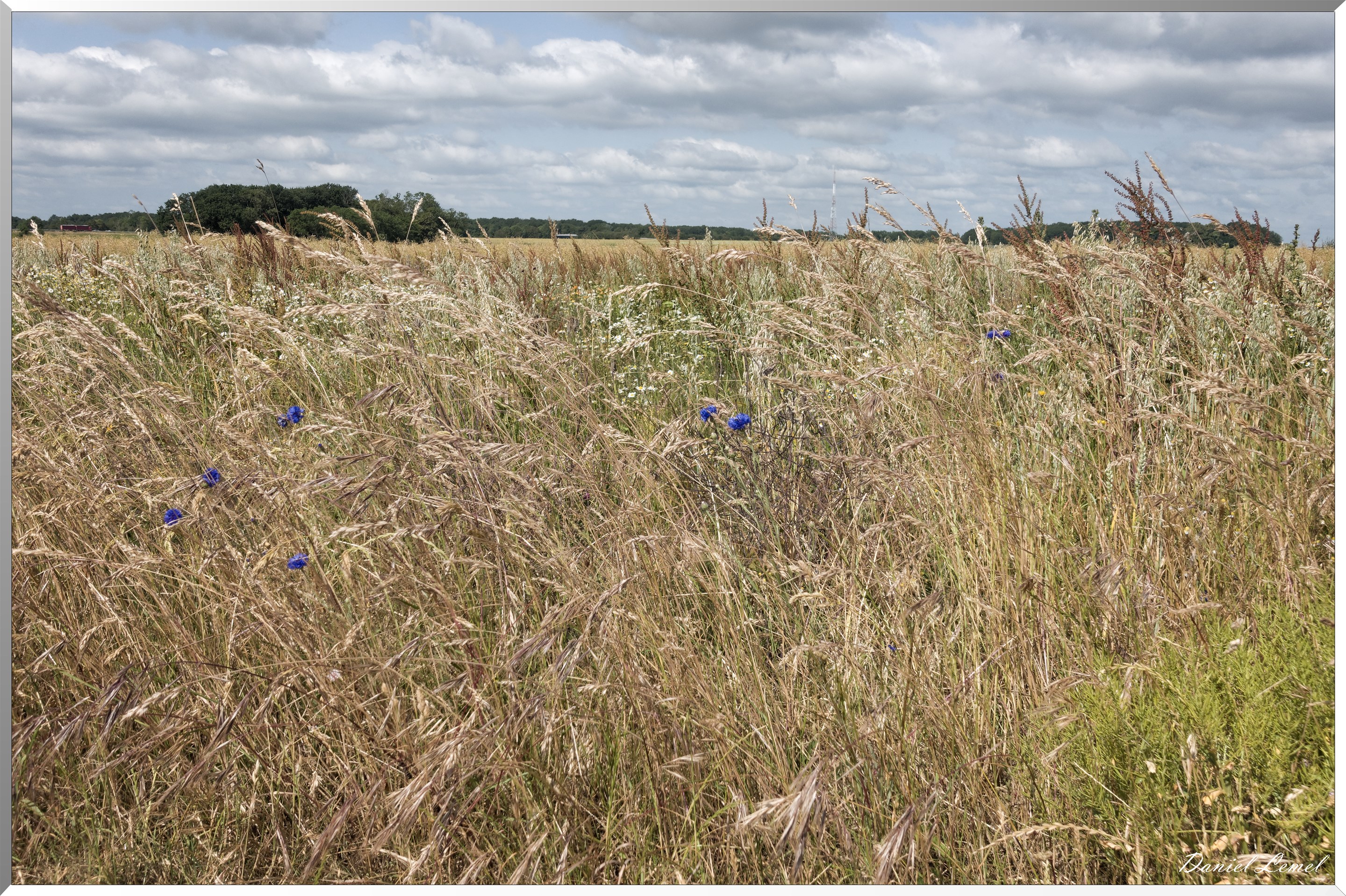La Chapelle-Réanville