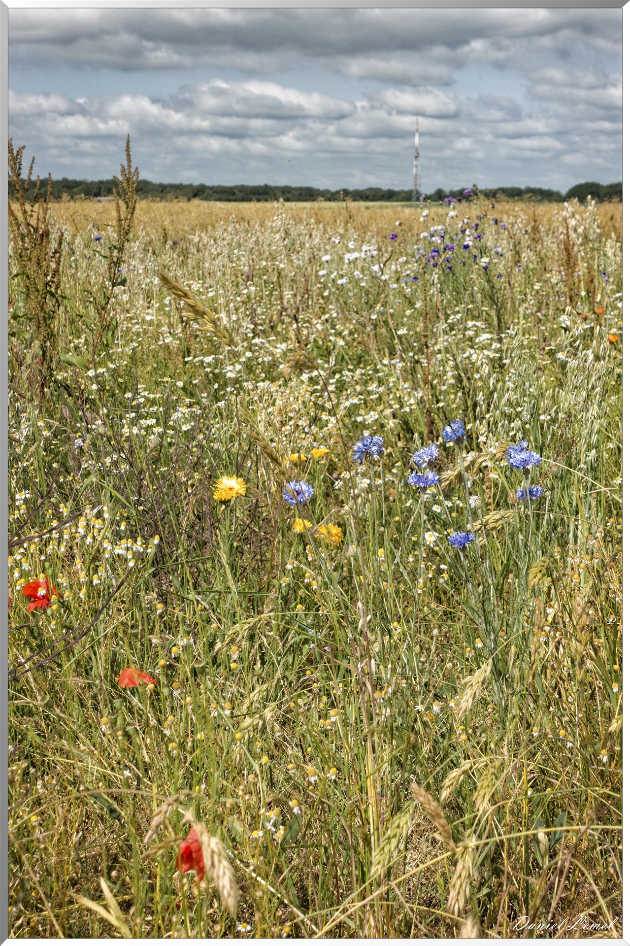 La Chapelle-Réanville